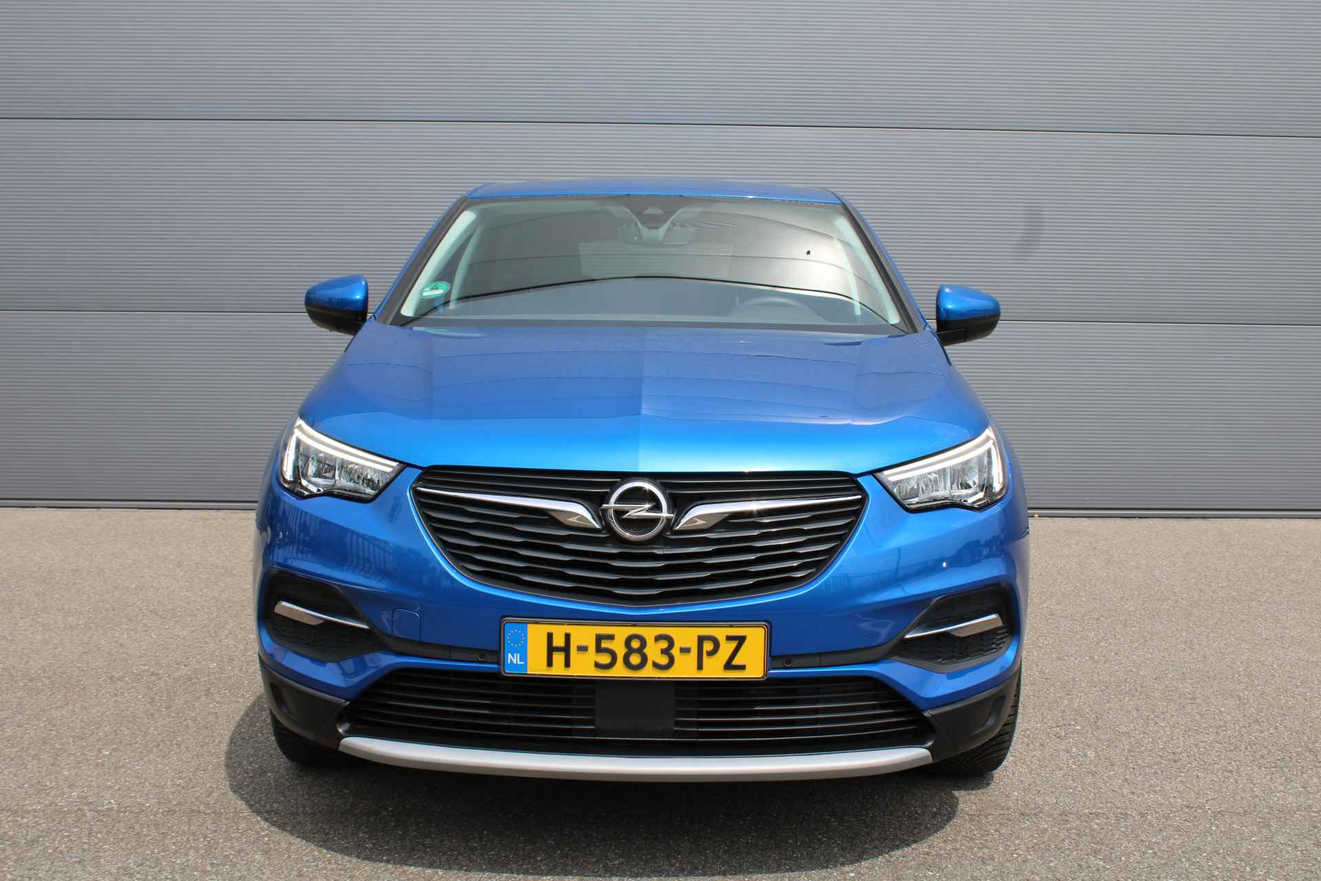 Opel Grandland X 1.6 Turbo Hybrid Business Executive automaat | AUTOMAAT | TREKHAAK | ELEK. ACHTERKLEP - 2/31