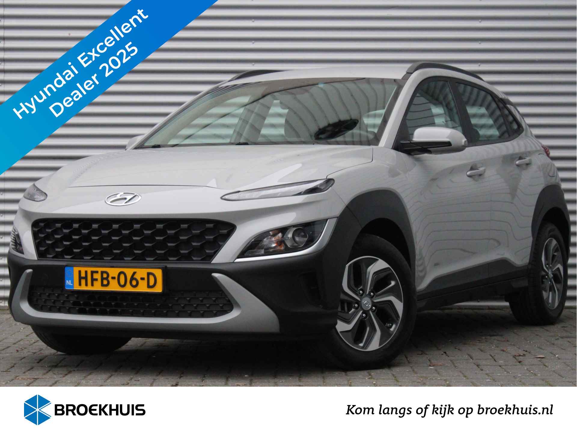 Hyundai Kona BOVAG 40-Puntencheck