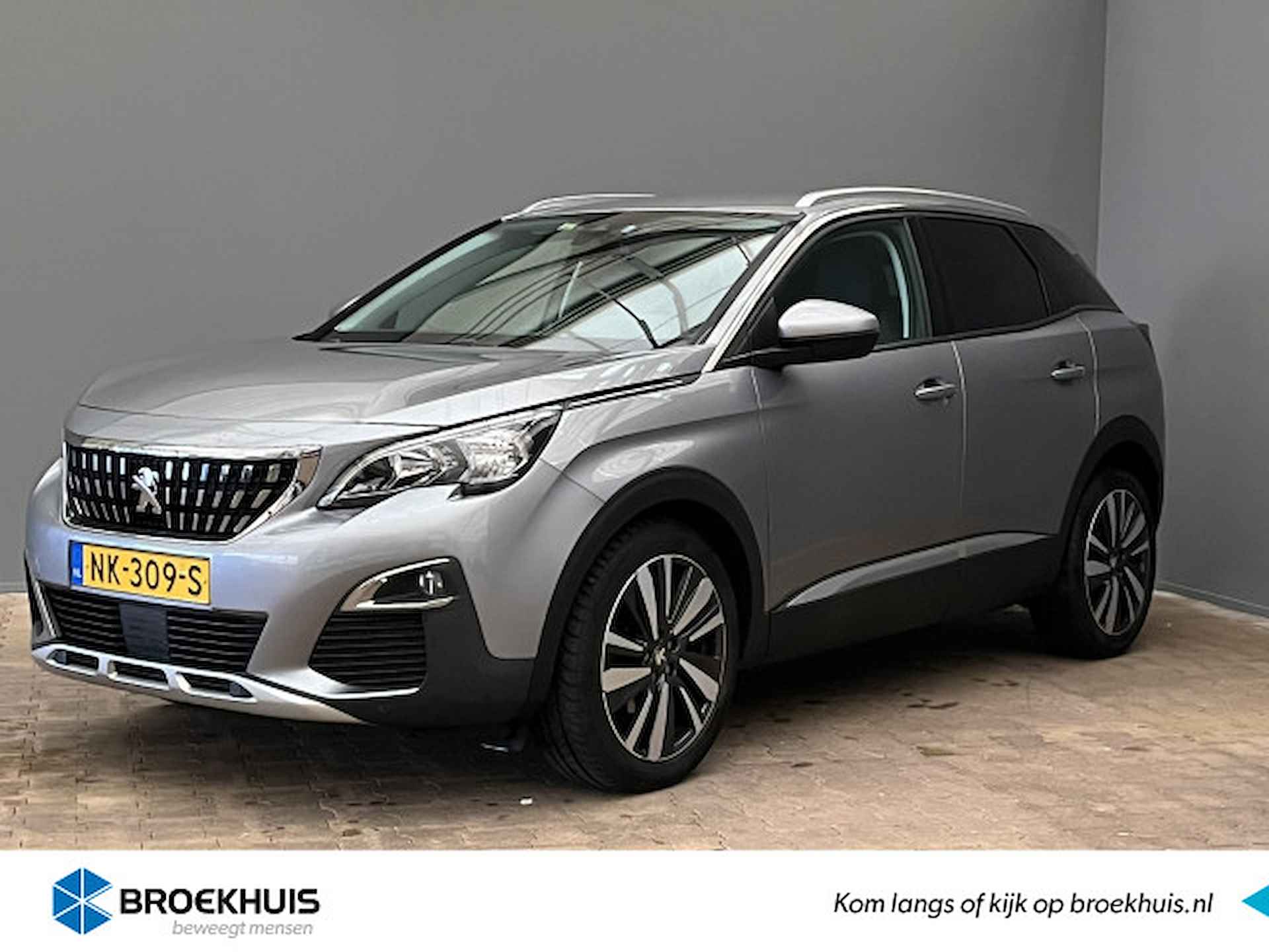 Peugeot 3008 BOVAG 40-Puntencheck