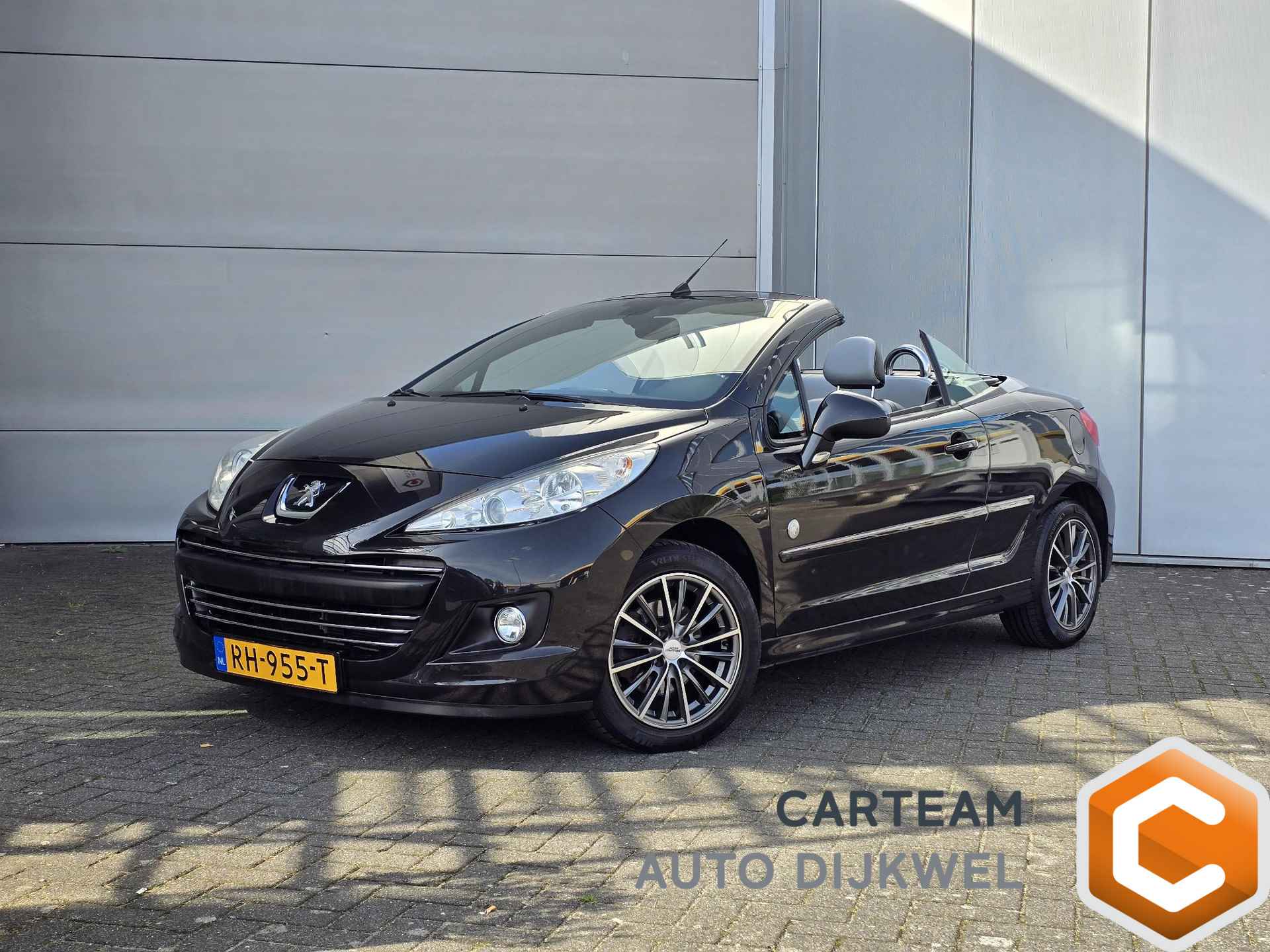 Peugeot 207 BOVAG 40-Puntencheck