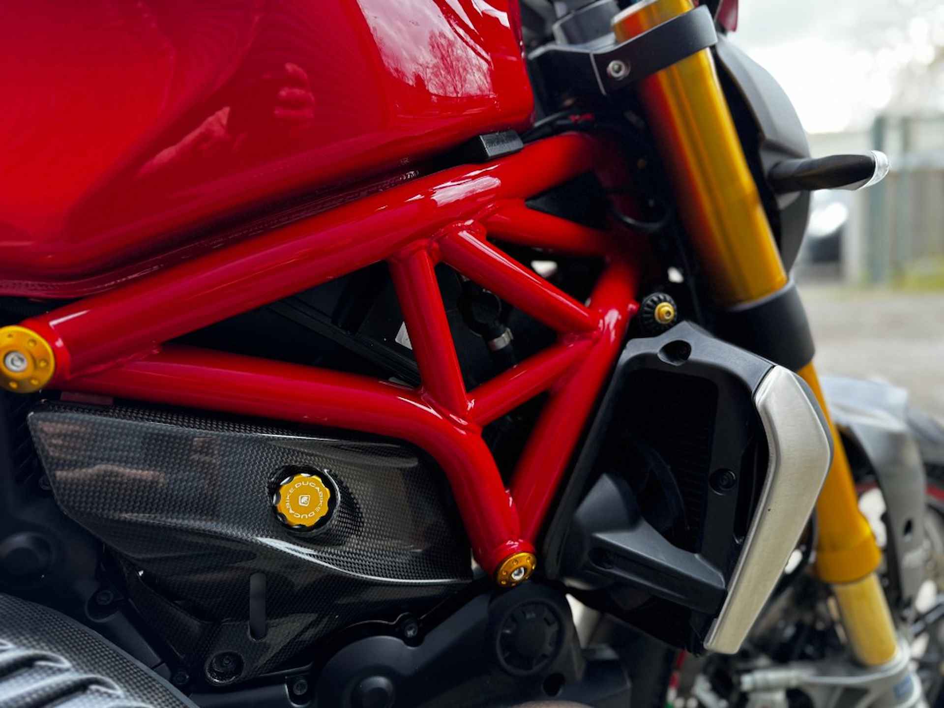 DUCATI Monster 1200 S Ohlins - 14/29