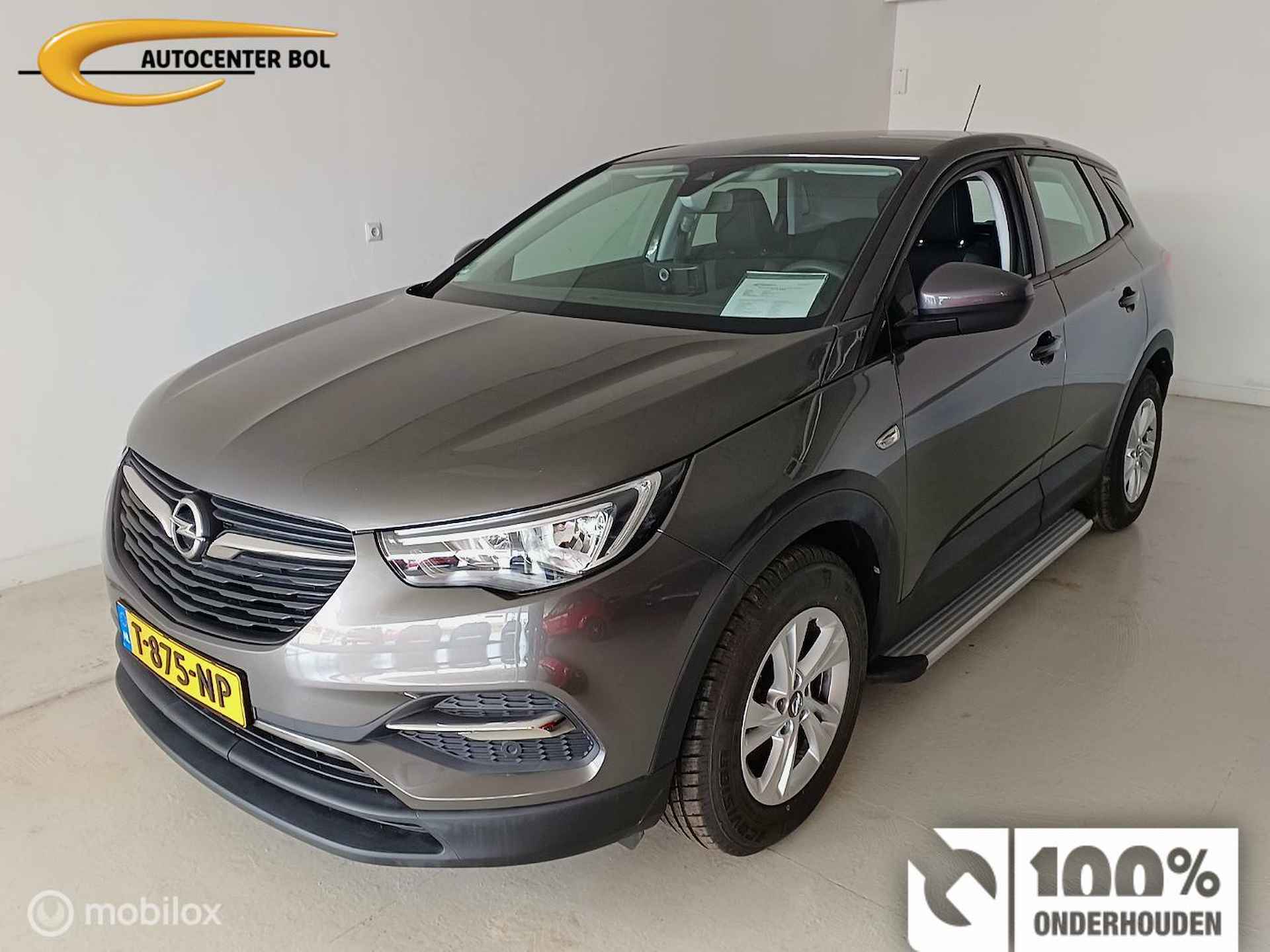 Opel Grandland X BOVAG 40-Puntencheck