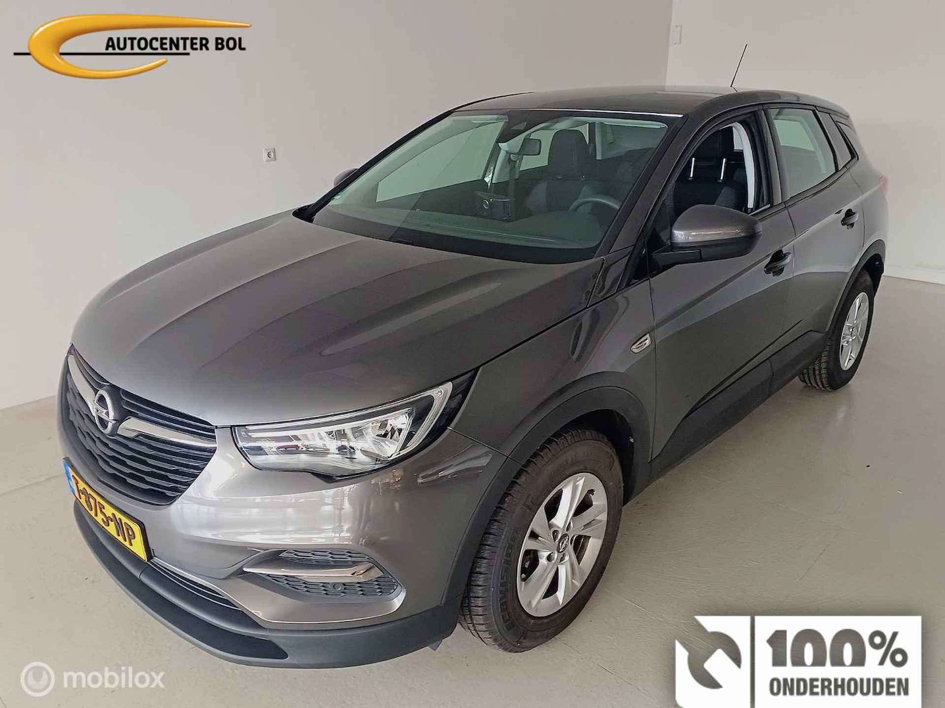 Opel Grandland X BOVAG 40-Puntencheck