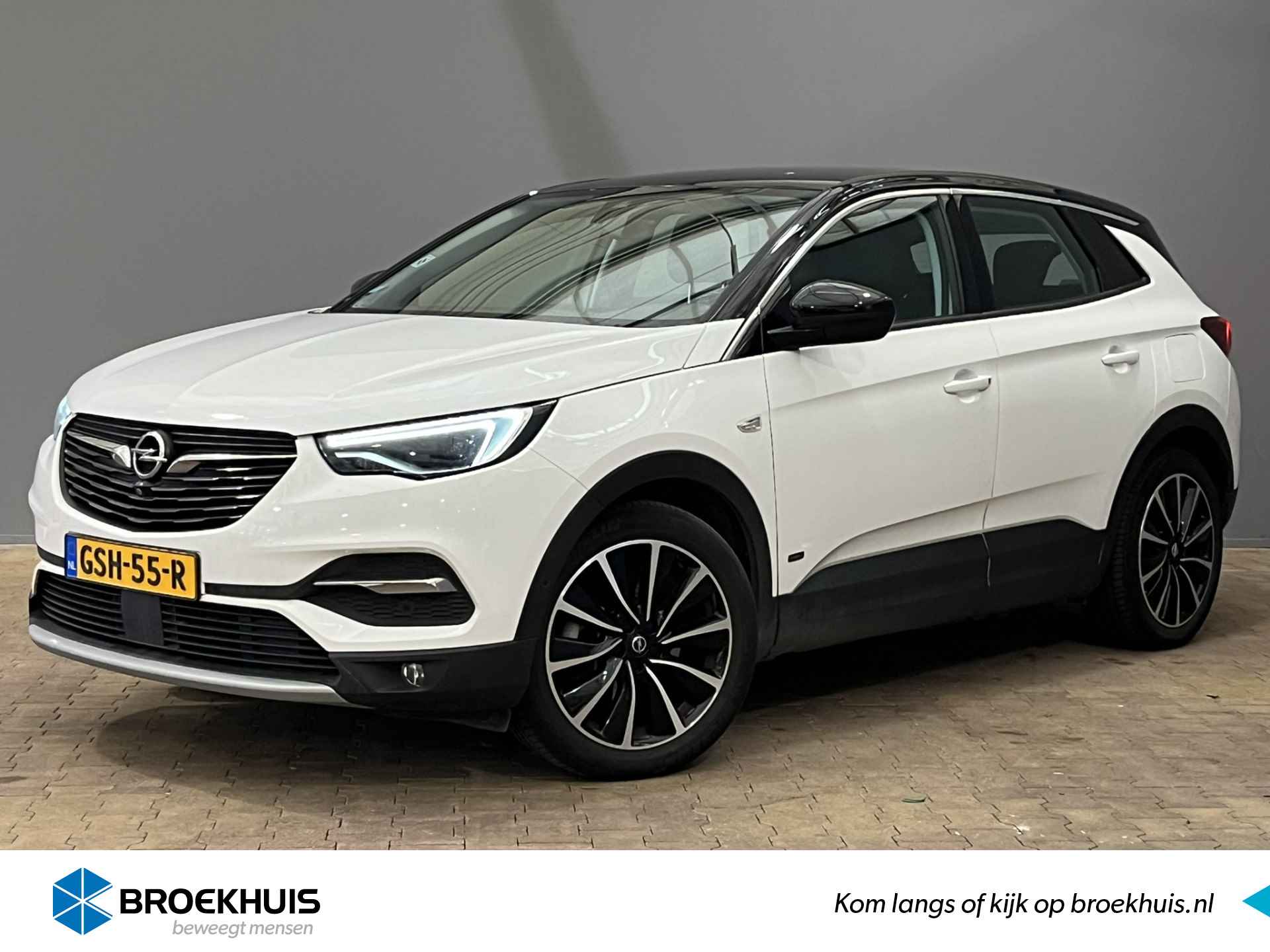 Opel Grandland X BOVAG 40-Puntencheck