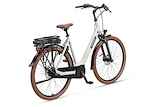 BATAVUS Altura E-Go Plus N7 Dames Lichtgrijs 51cm 2024