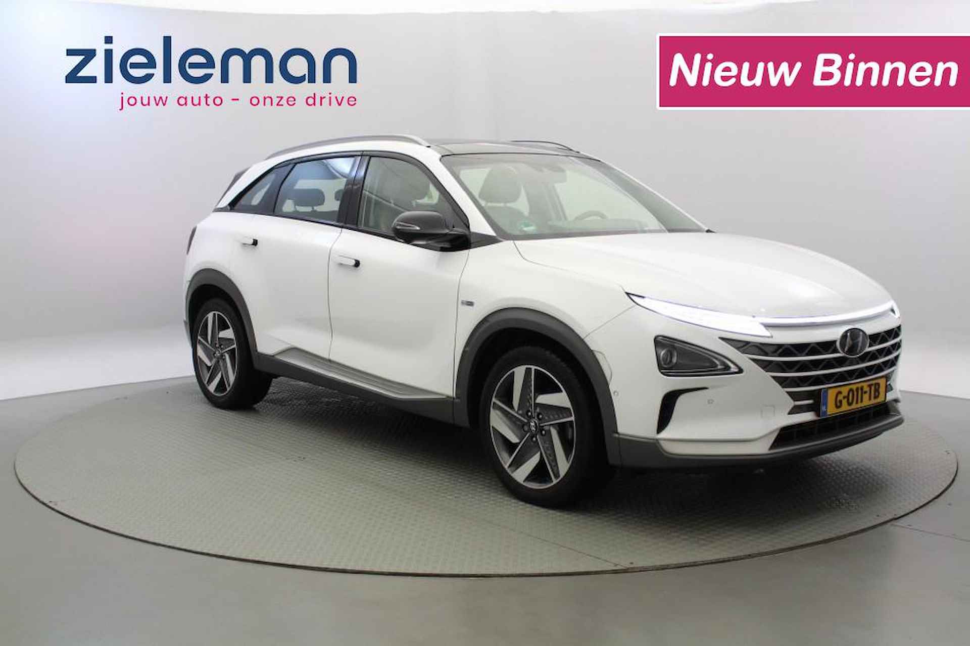 Hyundai Nexo BOVAG 40-Puntencheck