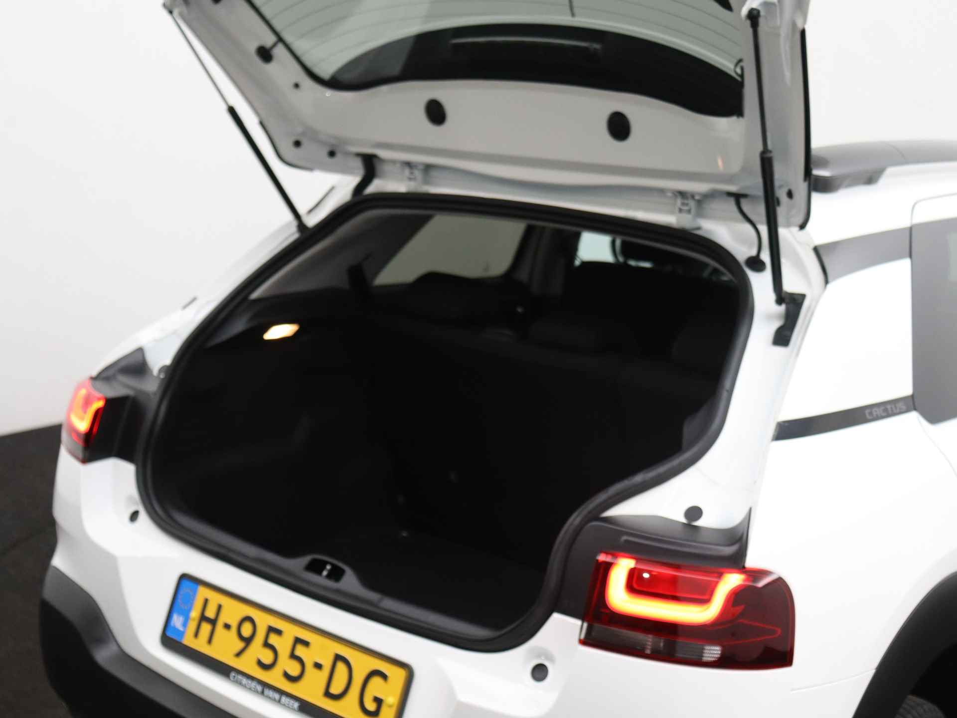 Citroën C4 Cactus BlueHDi 100pk Shine Plus | Rijklaar | Camera | Parkeersensoren v+a - 12/25