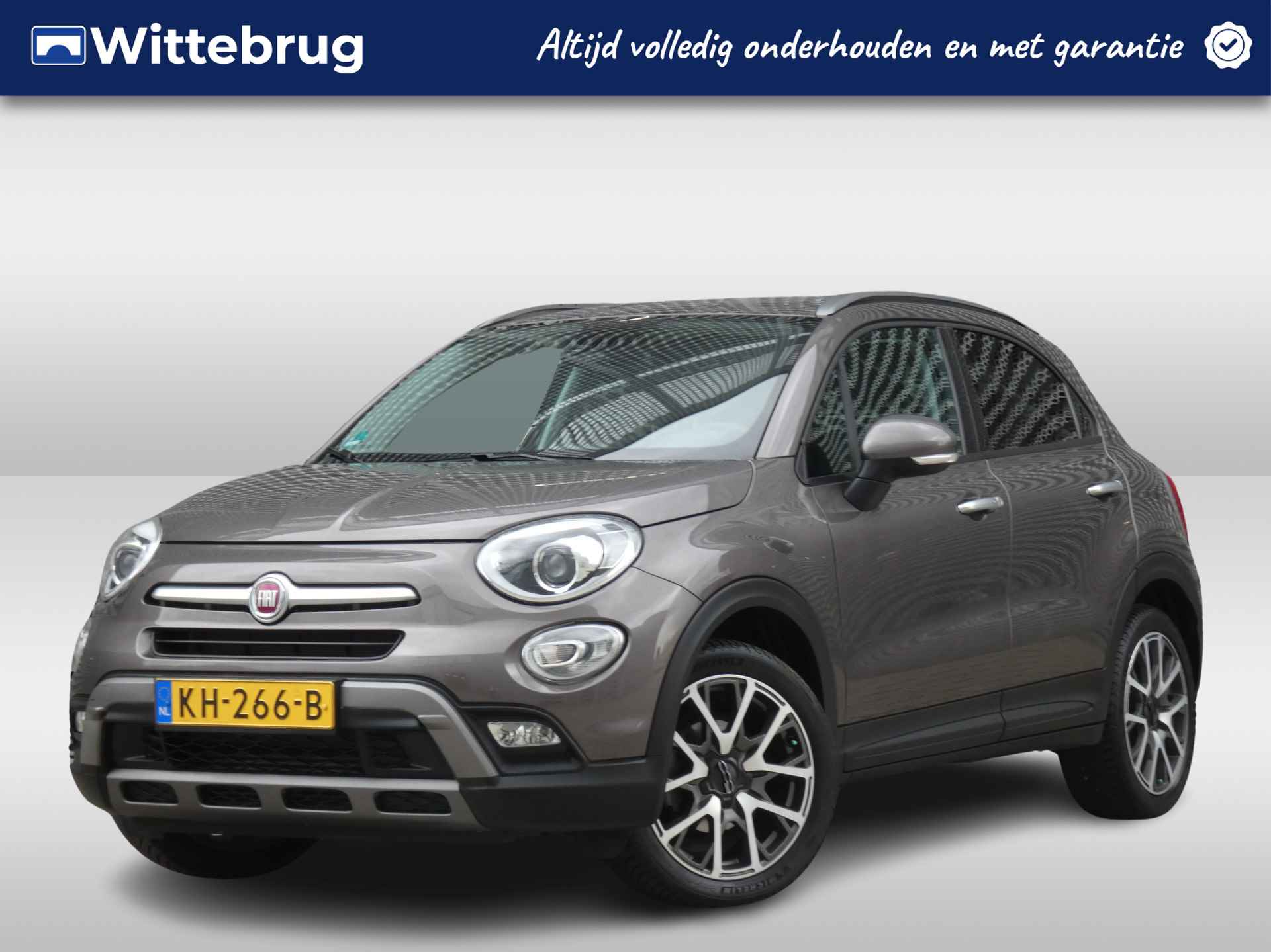 Fiat 500X BOVAG 40-Puntencheck