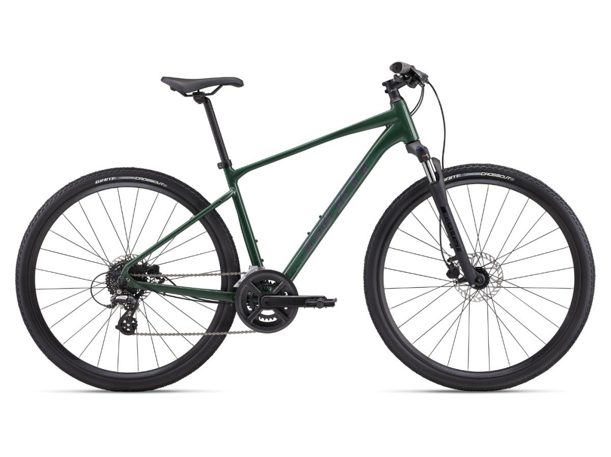 GIANT Roam Disc 3 Heren Hunter Green XL XL 2024