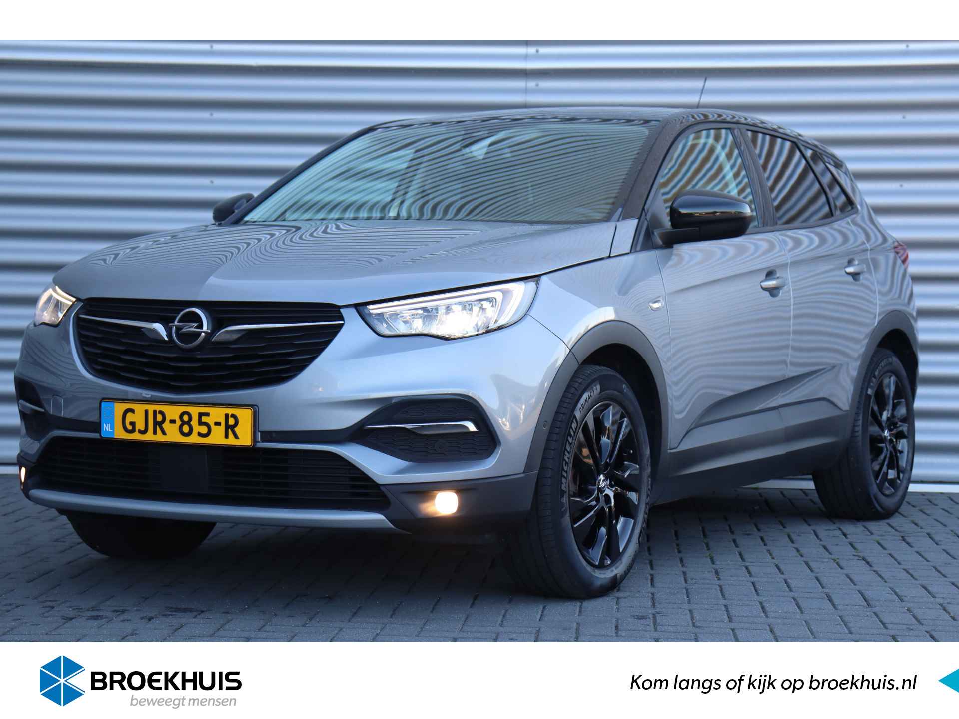 Opel Grandland X BOVAG 40-Puntencheck