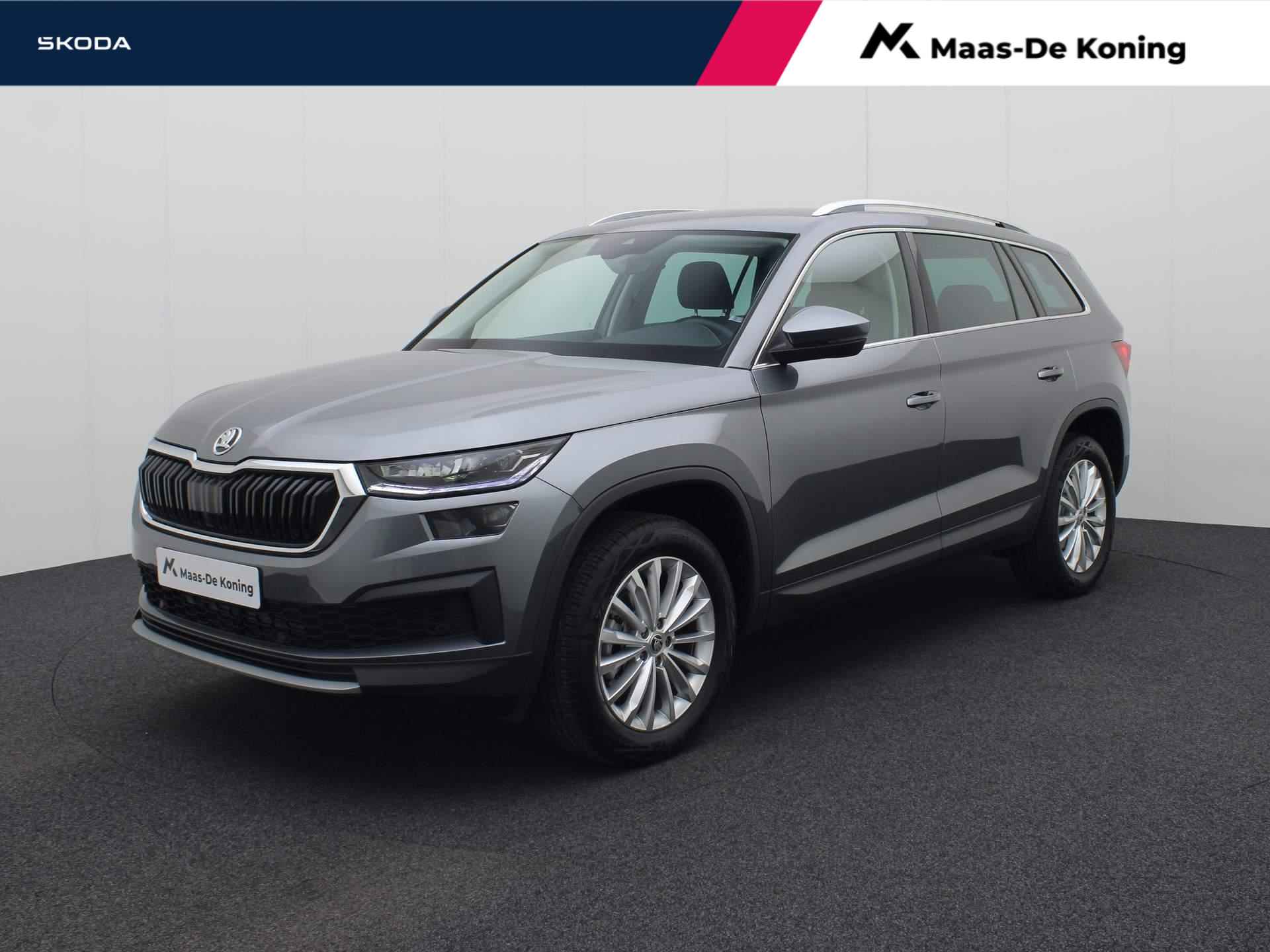 Škoda Kodiaq BOVAG 40-Puntencheck