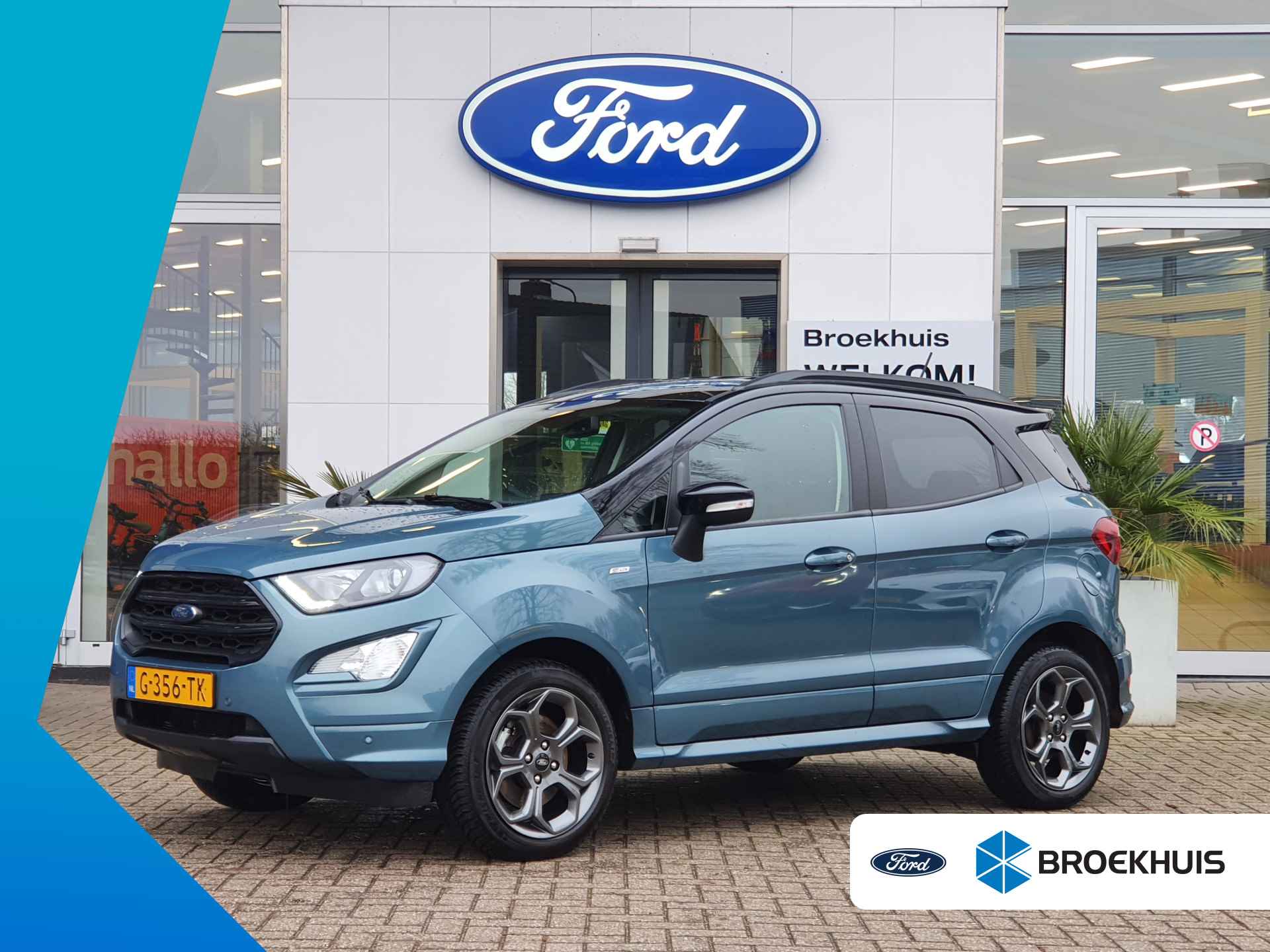 Ford EcoSport BOVAG 40-Puntencheck