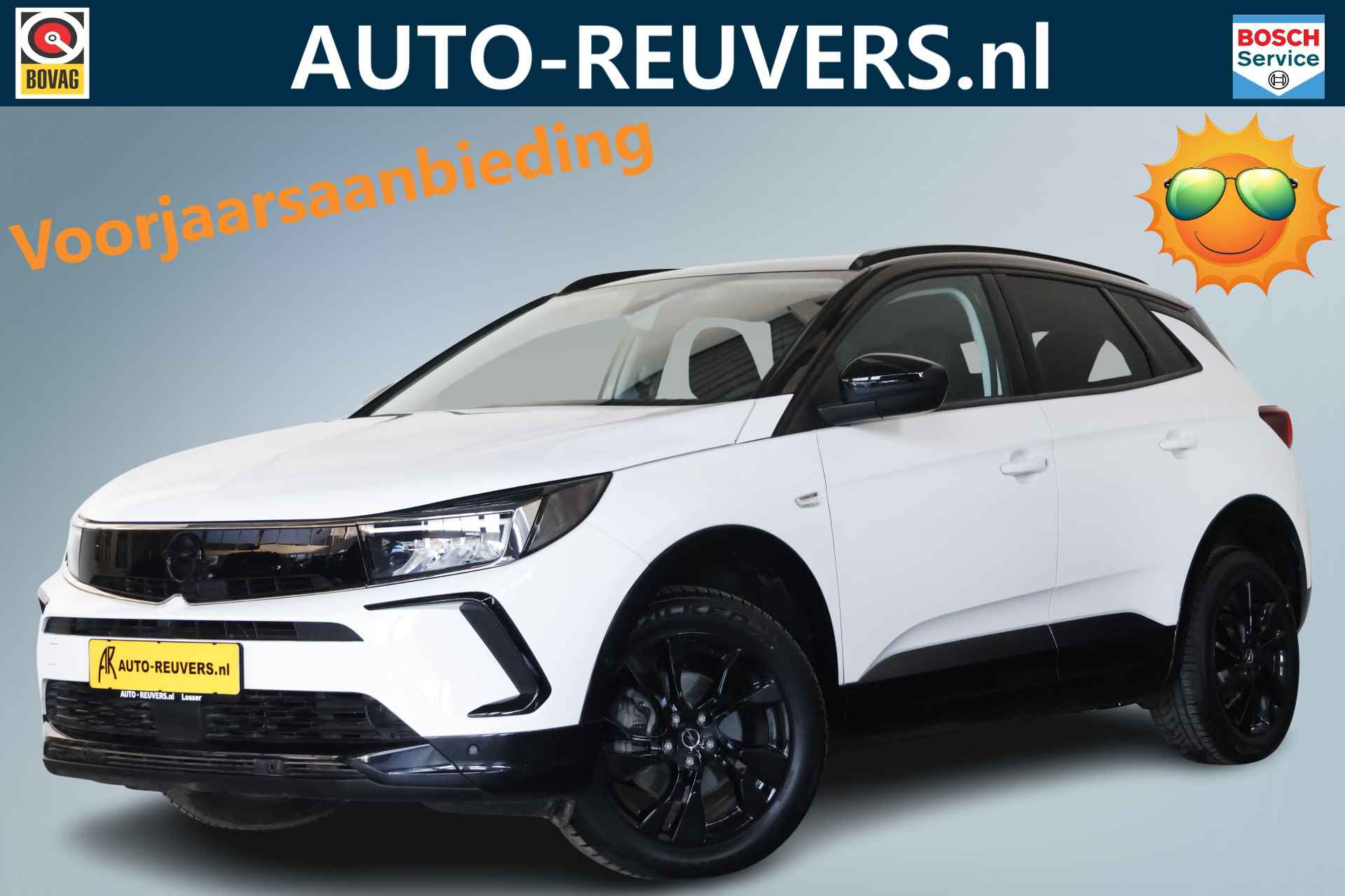 Opel Grandland X BOVAG 40-Puntencheck