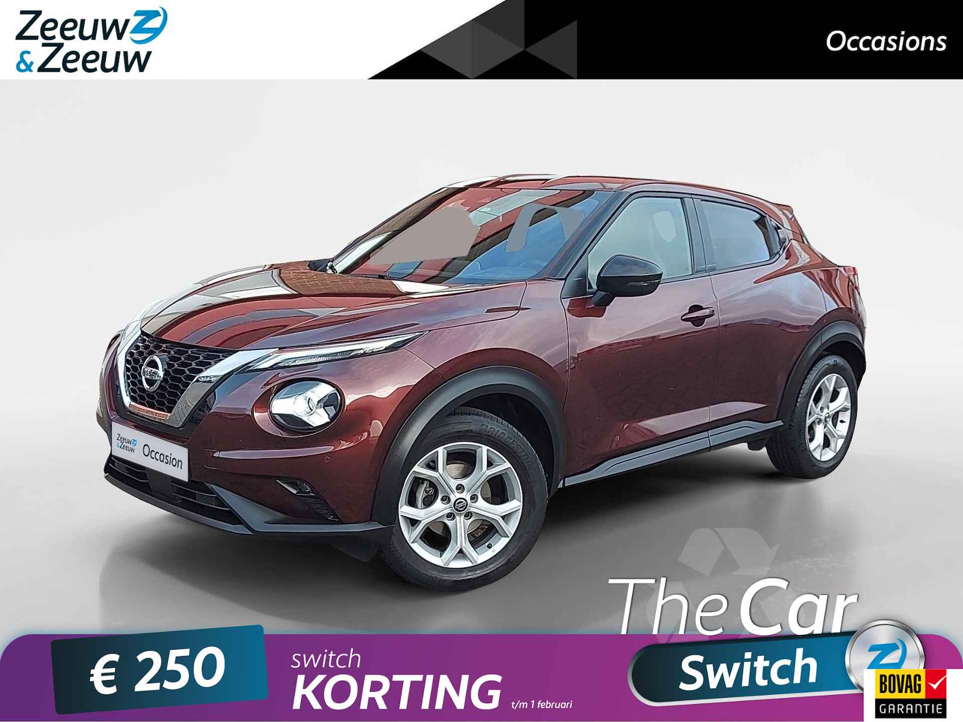 Nissan Juke BOVAG 40-Puntencheck