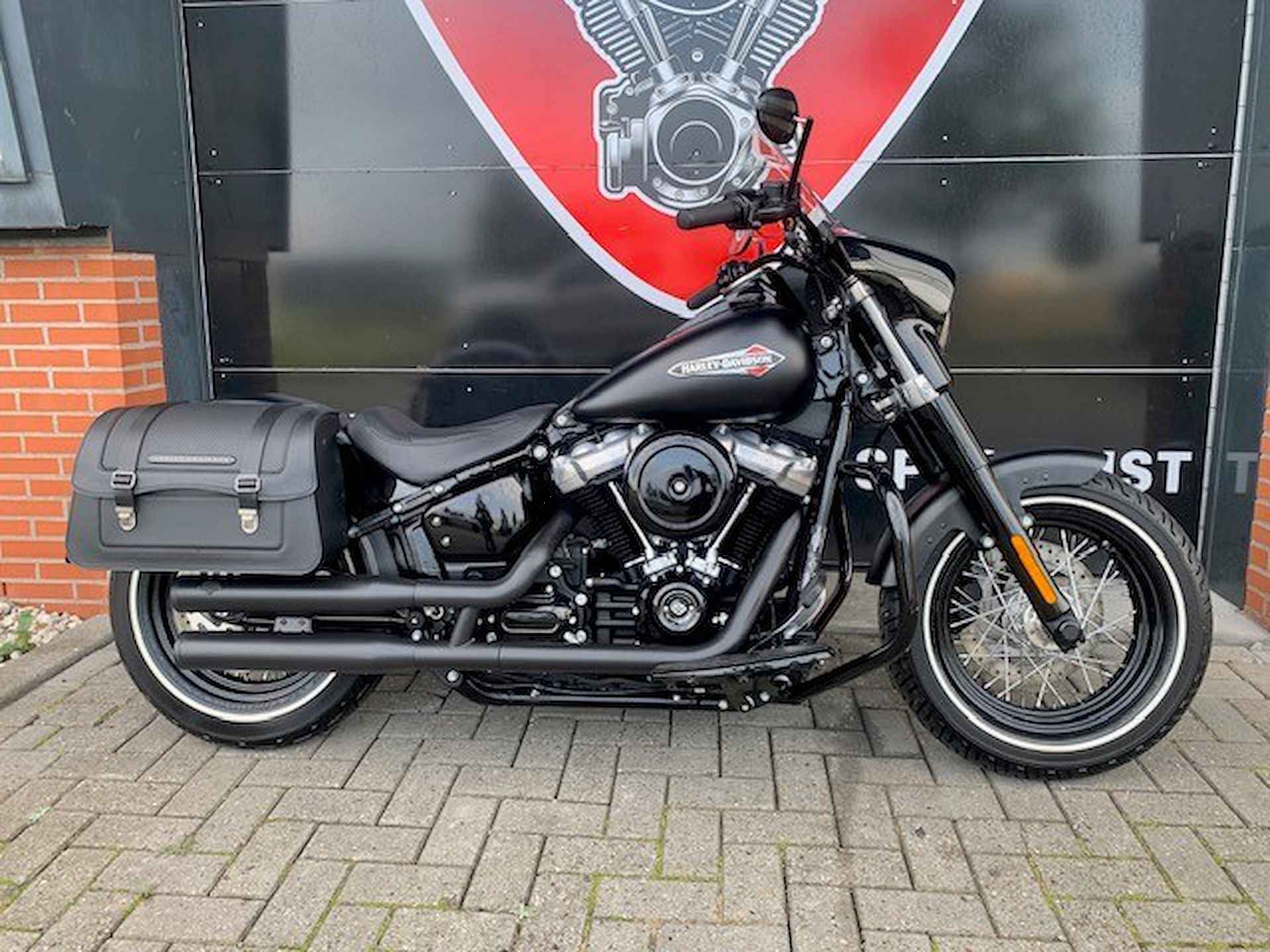 Harley-Davidson FLS SOFTAIL SLIM VELE OPTIES - 3/15