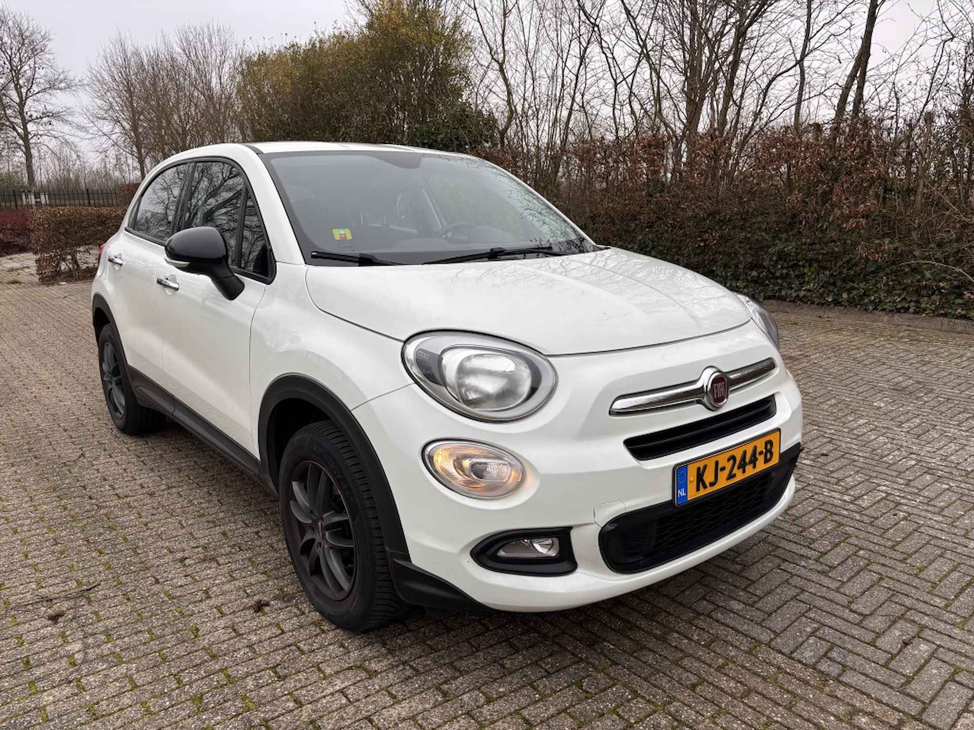 Fiat 500 X 1.6 Pop Rijklaarprijs - 9/25