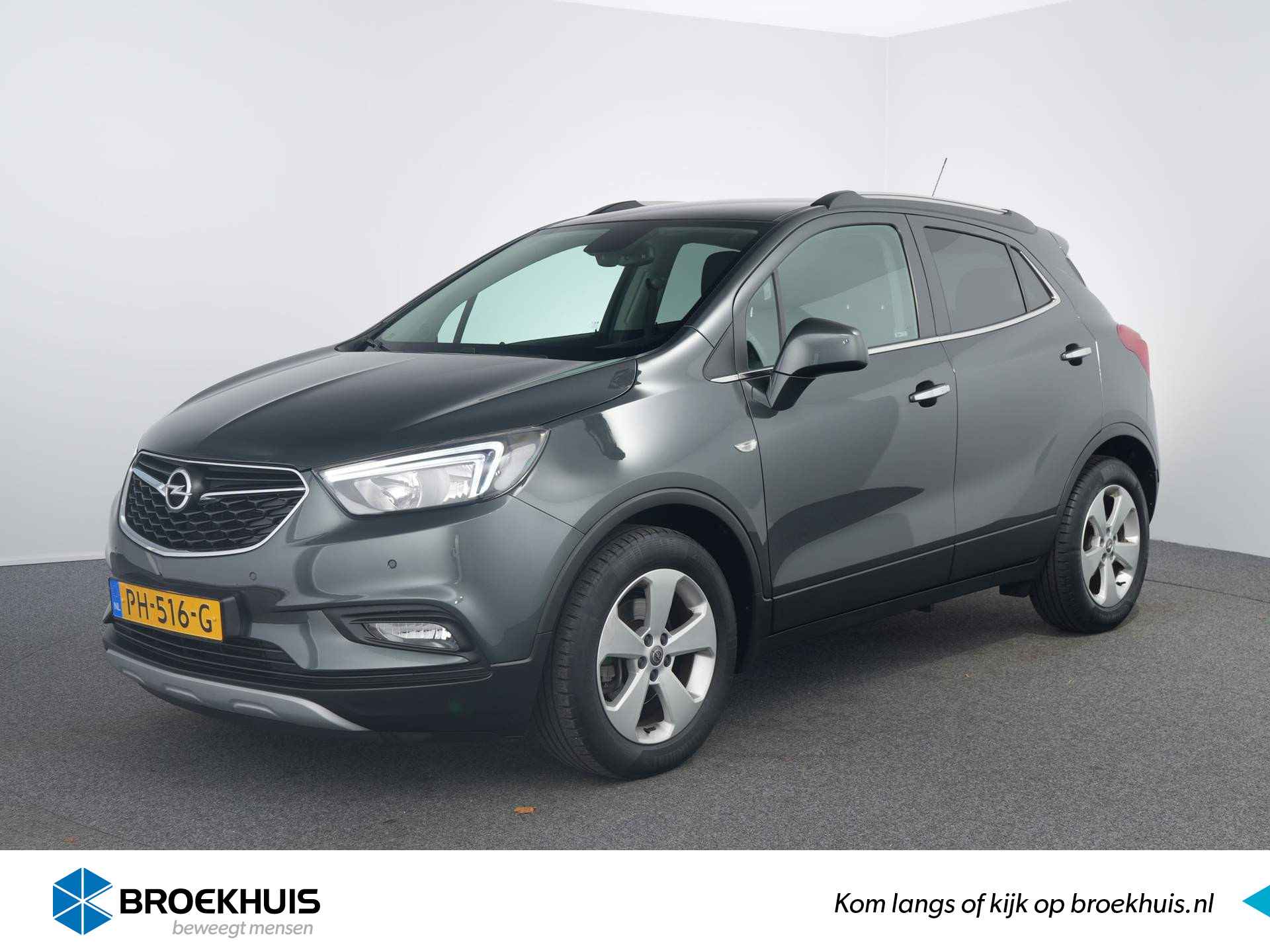 Opel Mokka X BOVAG 40-Puntencheck