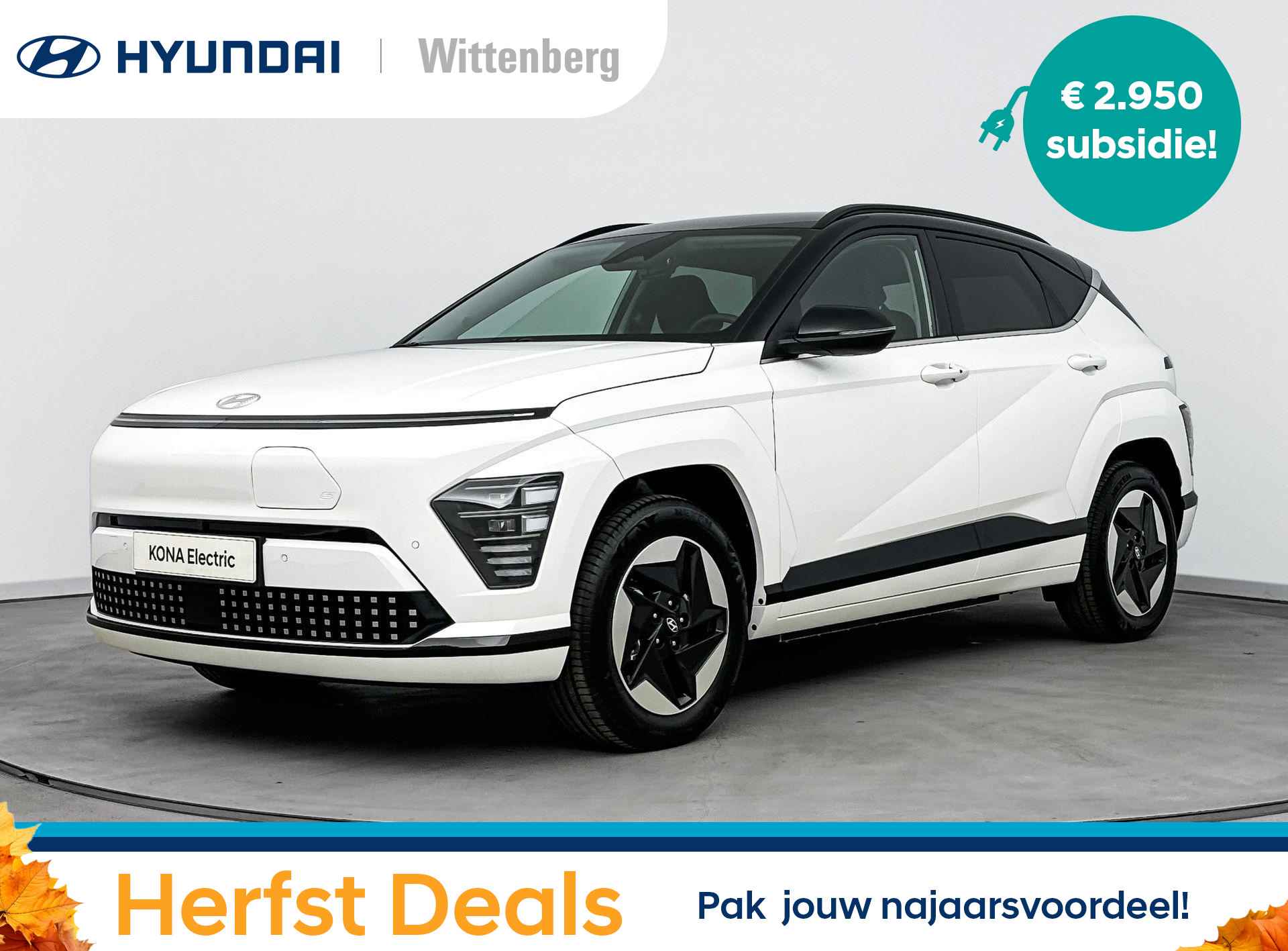 Hyundai Kona BOVAG 40-Puntencheck