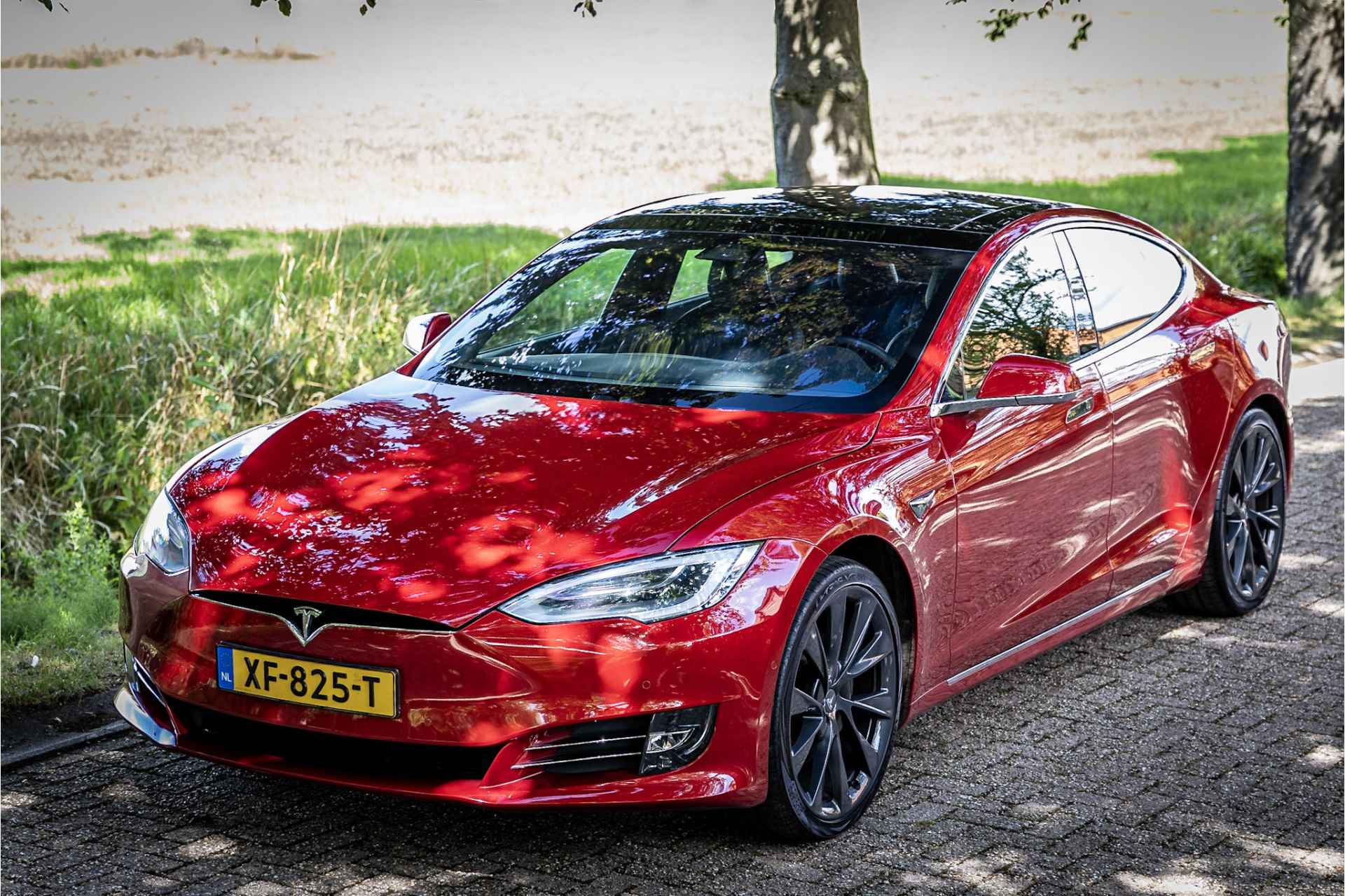 Tesla Model S 100D 12-2018 Carbon 21" EAP Panorama - 14/27