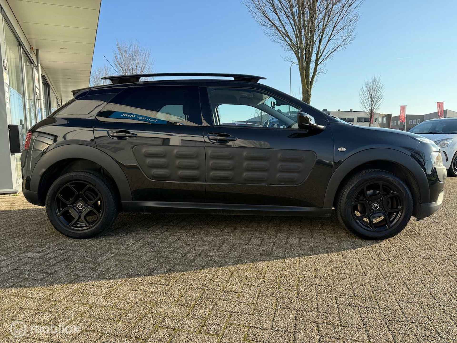 Citroen C4 Cactus 1.2 PureTech Shine - 4/21