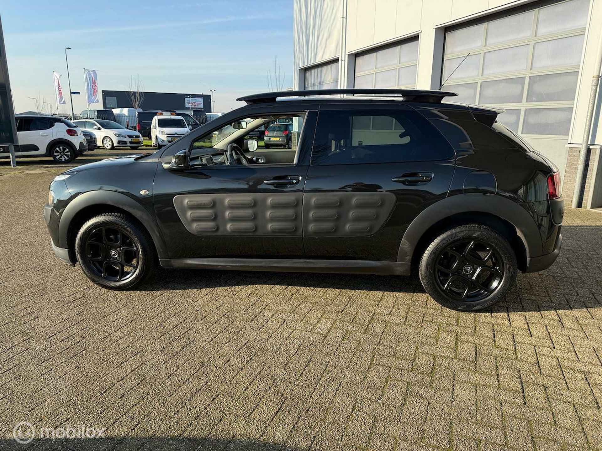 Citroen C4 Cactus 1.2 PureTech Shine - 8/21