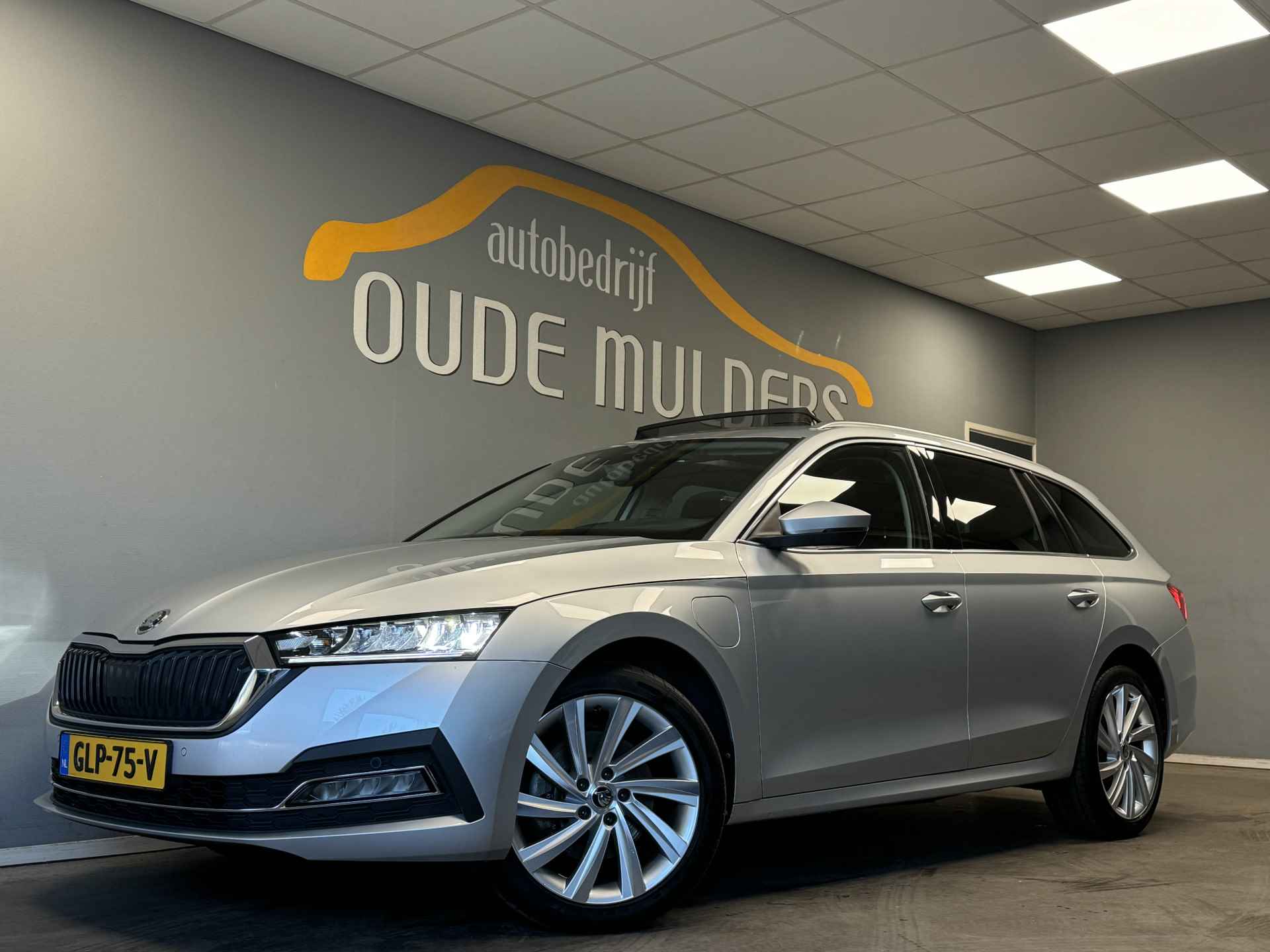 Škoda Octavia BOVAG 40-Puntencheck