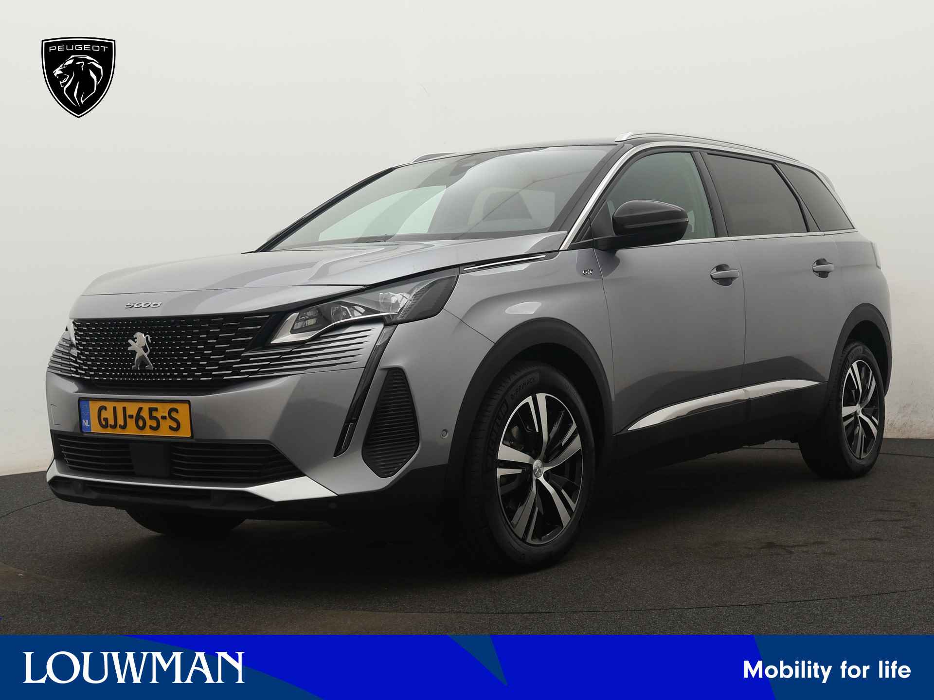 Peugeot 5008 BOVAG 40-Puntencheck