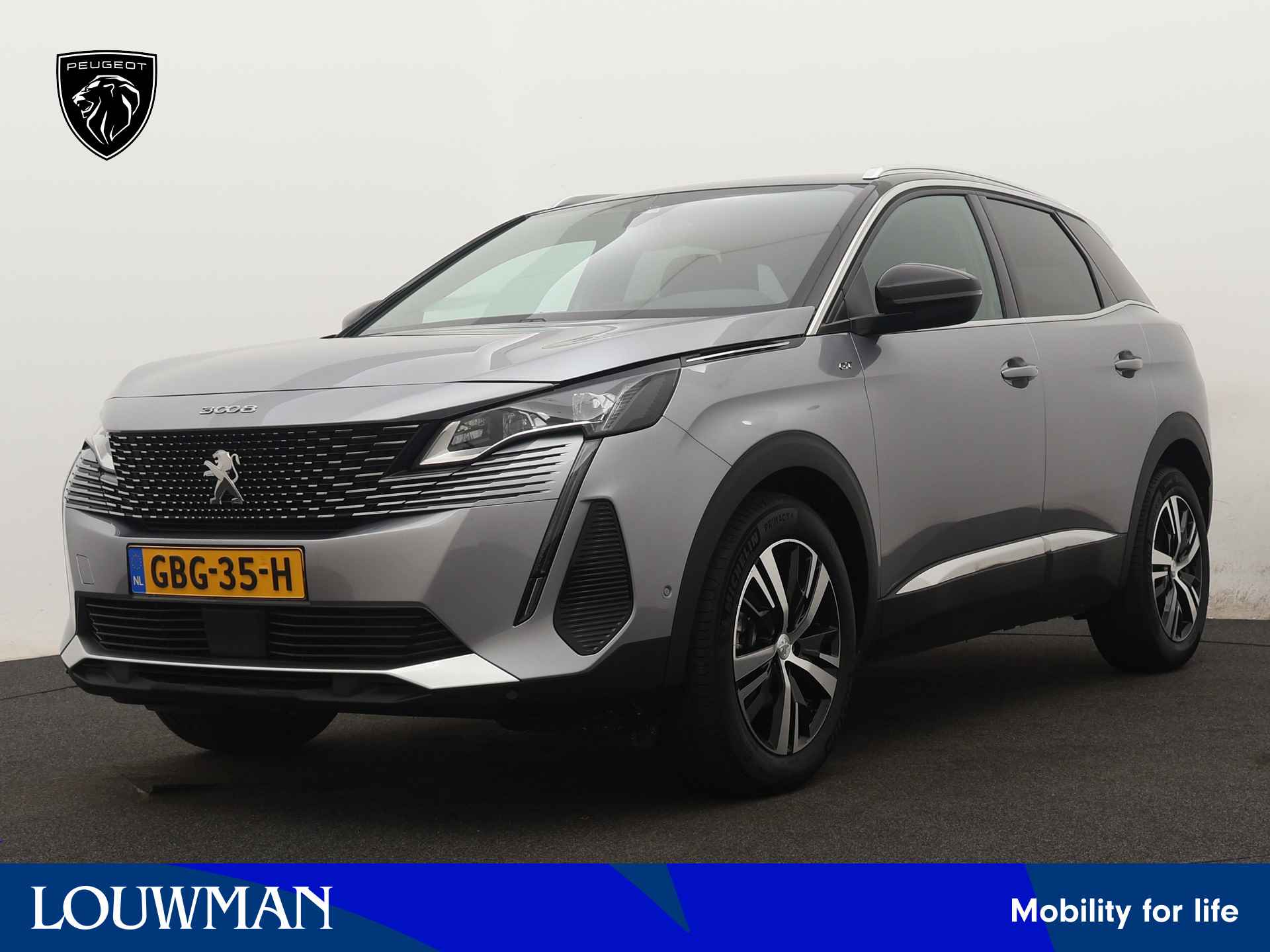 Peugeot 3008 BOVAG 40-Puntencheck