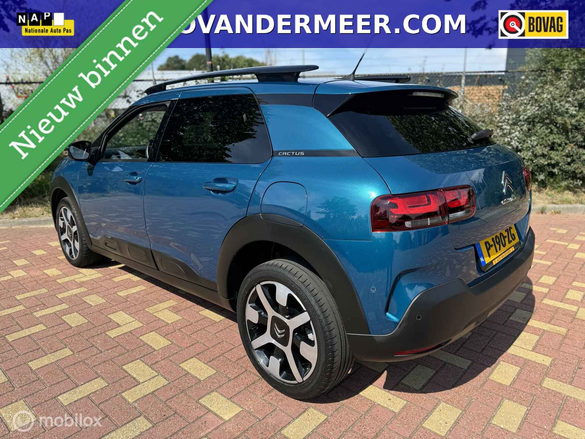 Citroen C4 Cactus 1.2 PureTech Business Plus / Carplay / Etc - 3/37