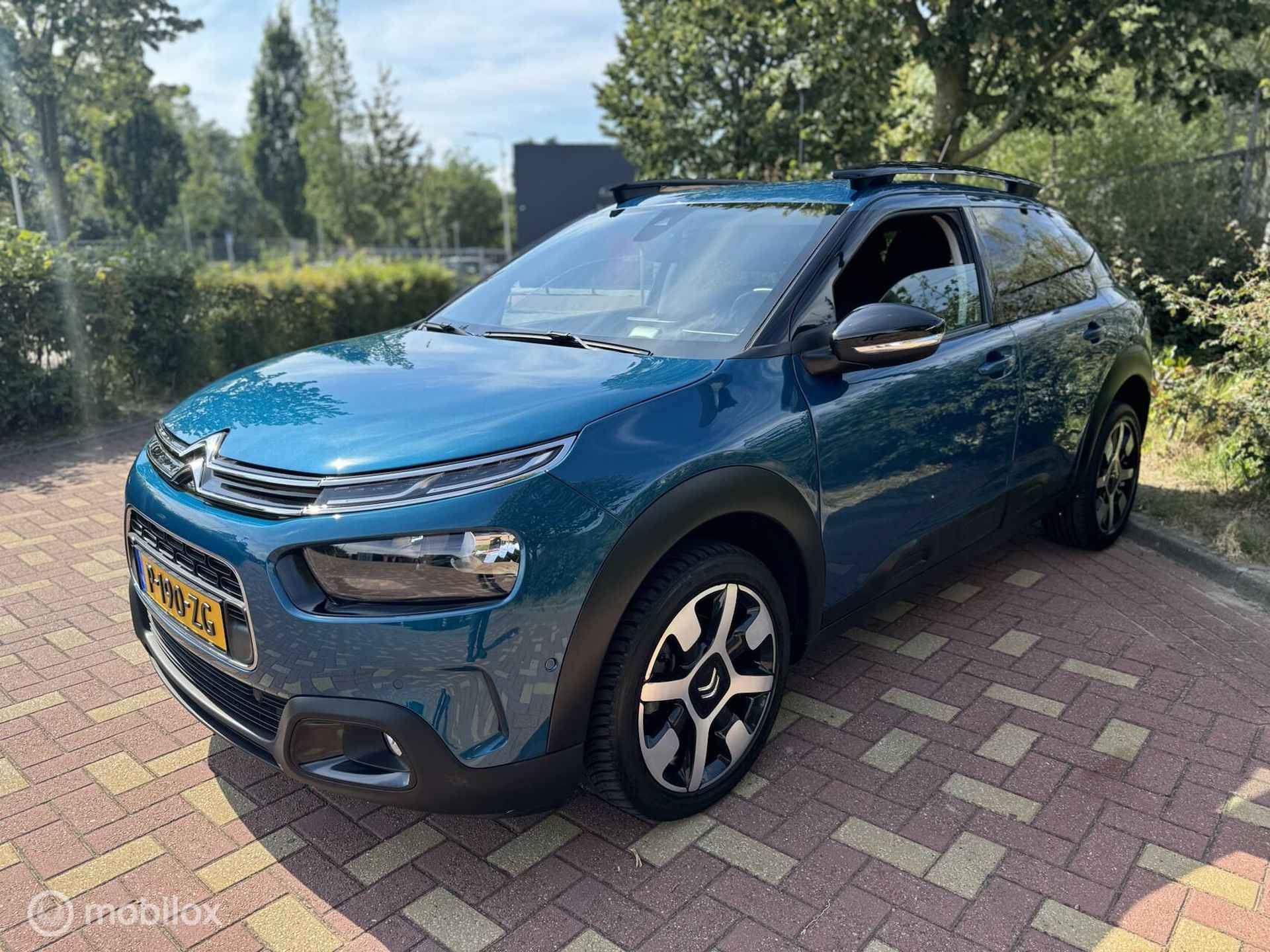 Citroen C4 Cactus 1.2 PureTech Business Plus / Carplay / Etc - 15/37