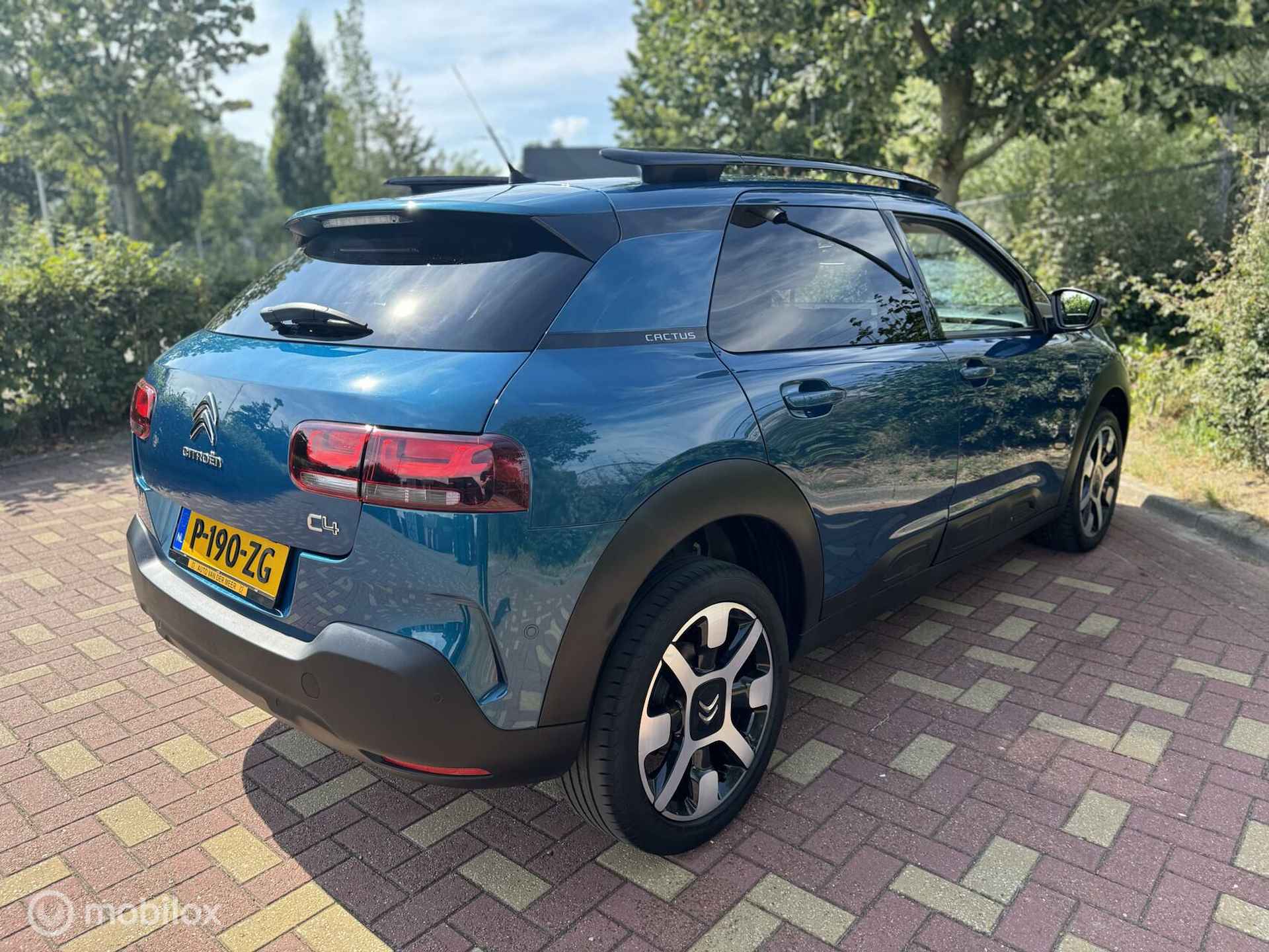 Citroen C4 Cactus 1.2 PureTech Business Plus / Carplay / Etc - 19/37