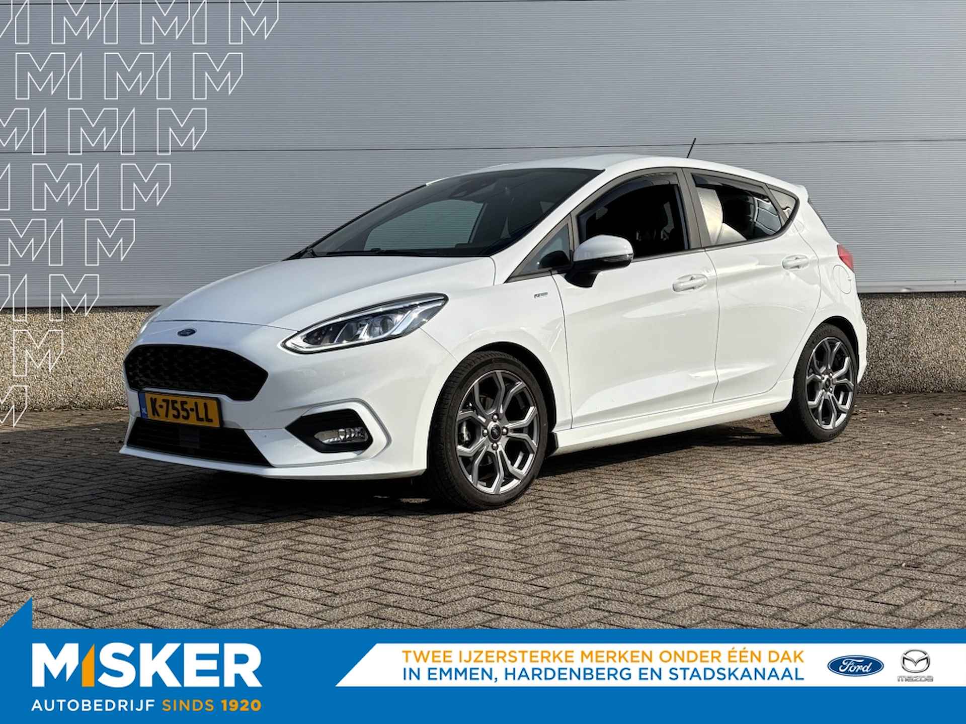 Ford Fiesta BOVAG 40-Puntencheck