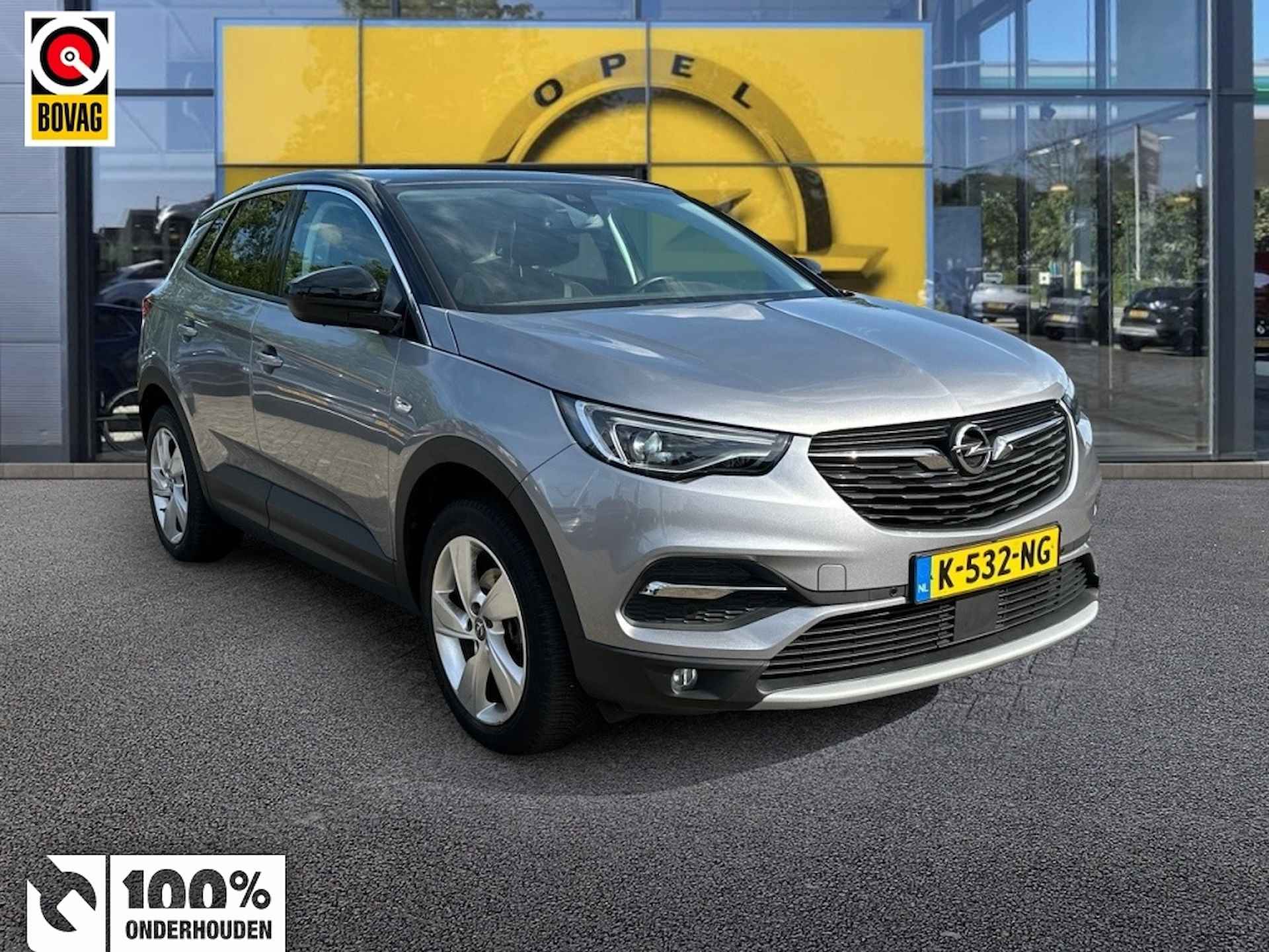 Opel Grandland X BOVAG 40-Puntencheck