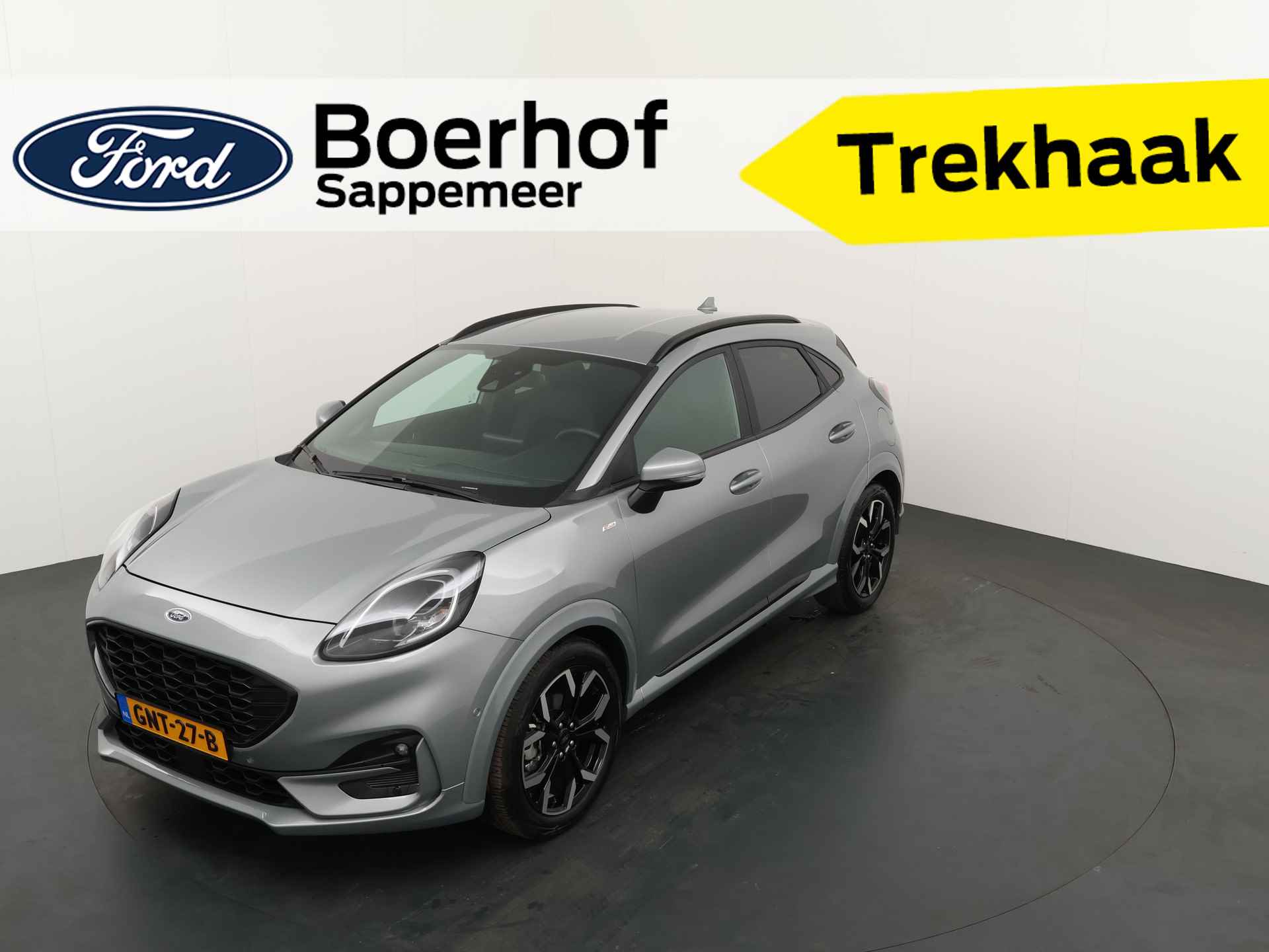 Ford Puma BOVAG 40-Puntencheck