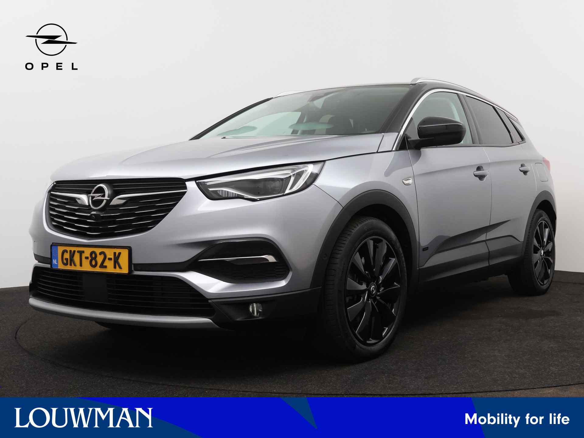 Opel Grandland X BOVAG 40-Puntencheck