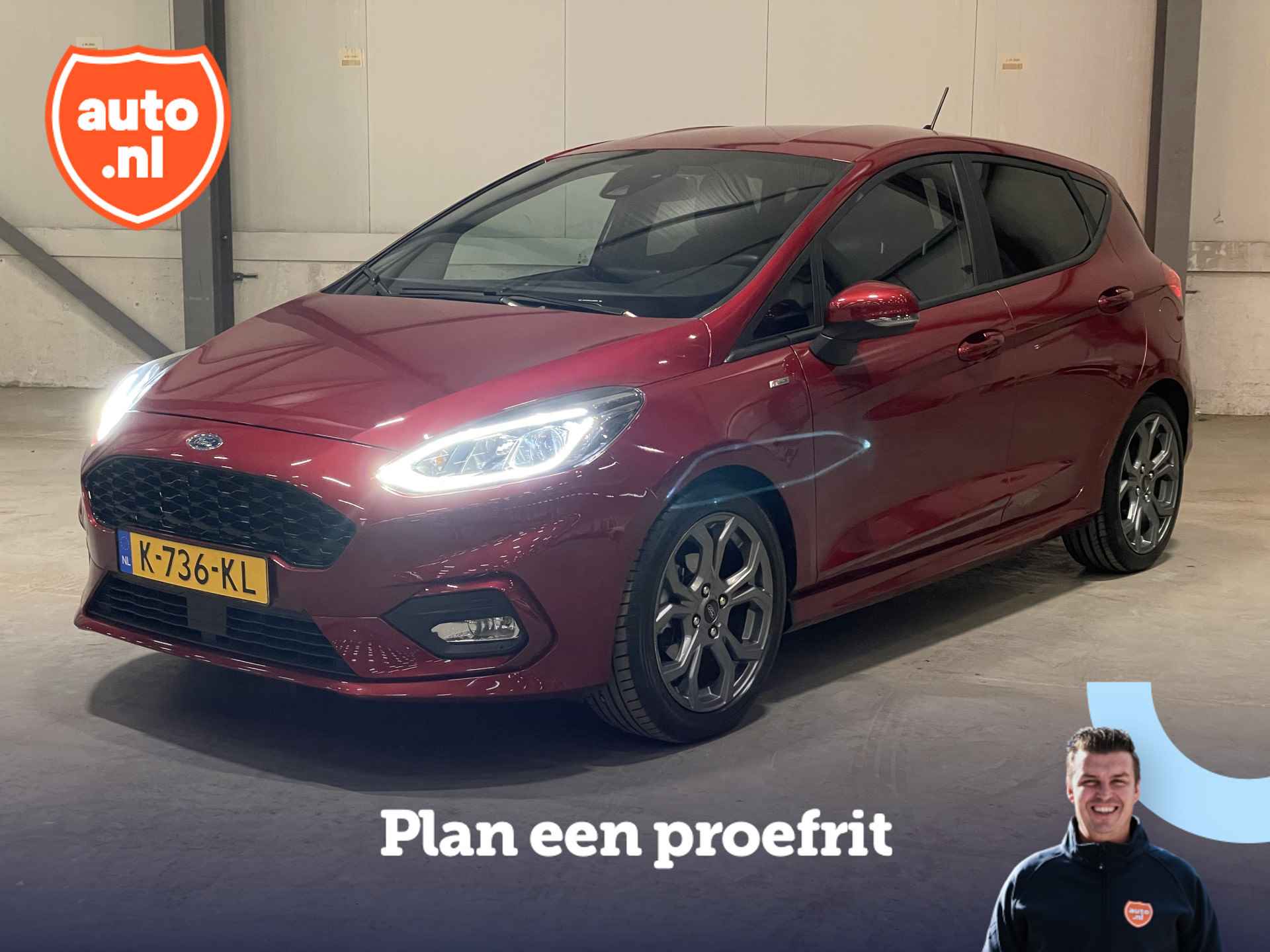 Ford Fiesta BOVAG 40-Puntencheck