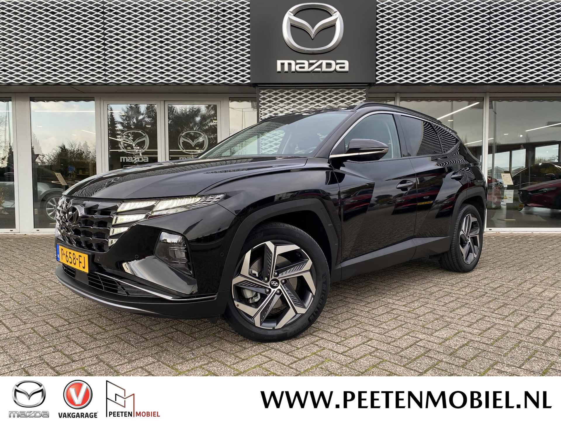 Hyundai Tucson BOVAG 40-Puntencheck