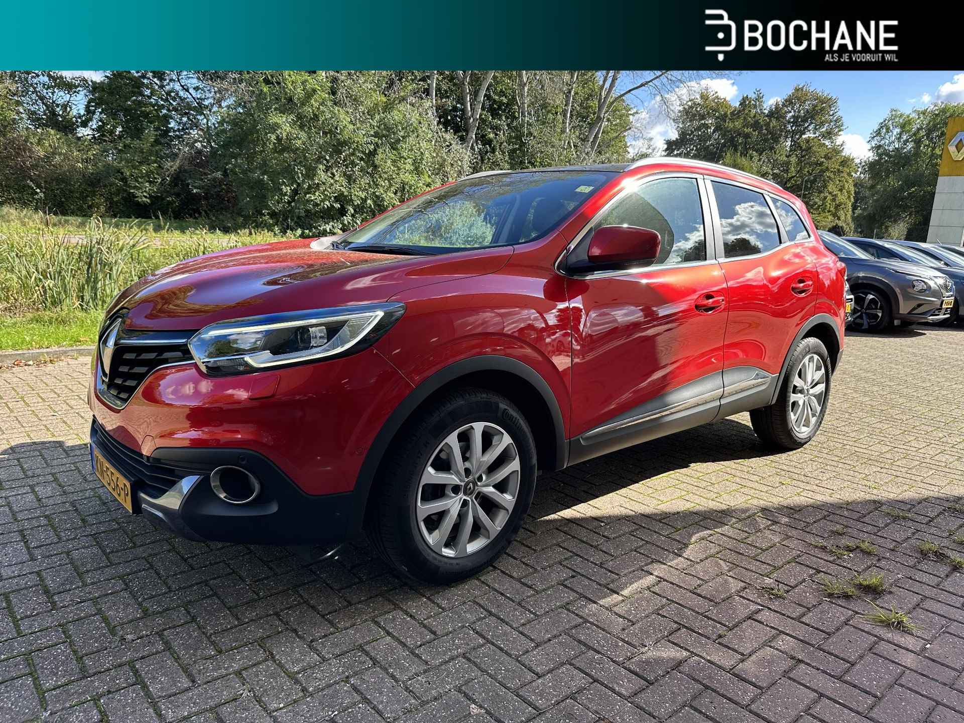 Renault Kadjar BOVAG 40-Puntencheck