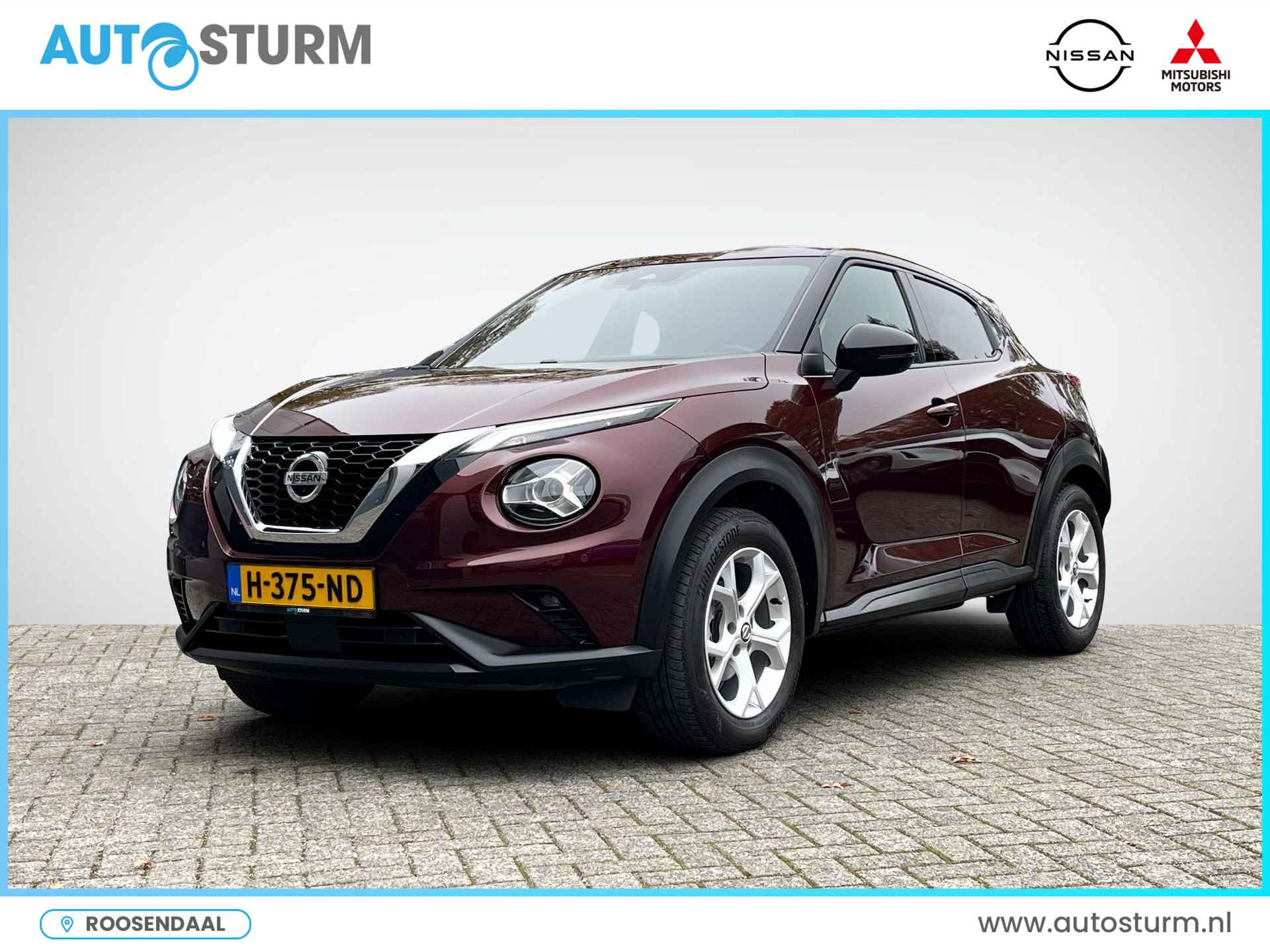 Nissan Juke BOVAG 40-Puntencheck