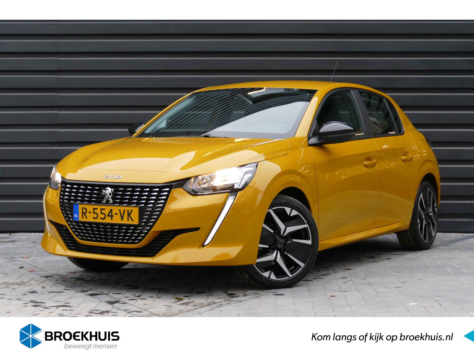 Peugeot 208 BOVAG 40-Puntencheck