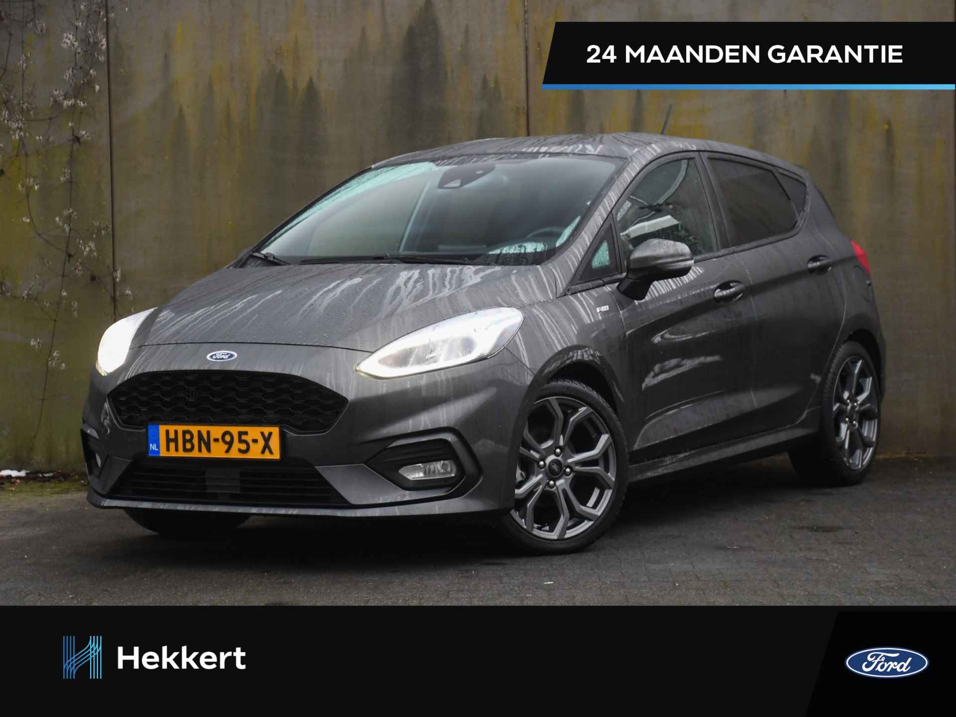 Ford Fiesta BOVAG 40-Puntencheck