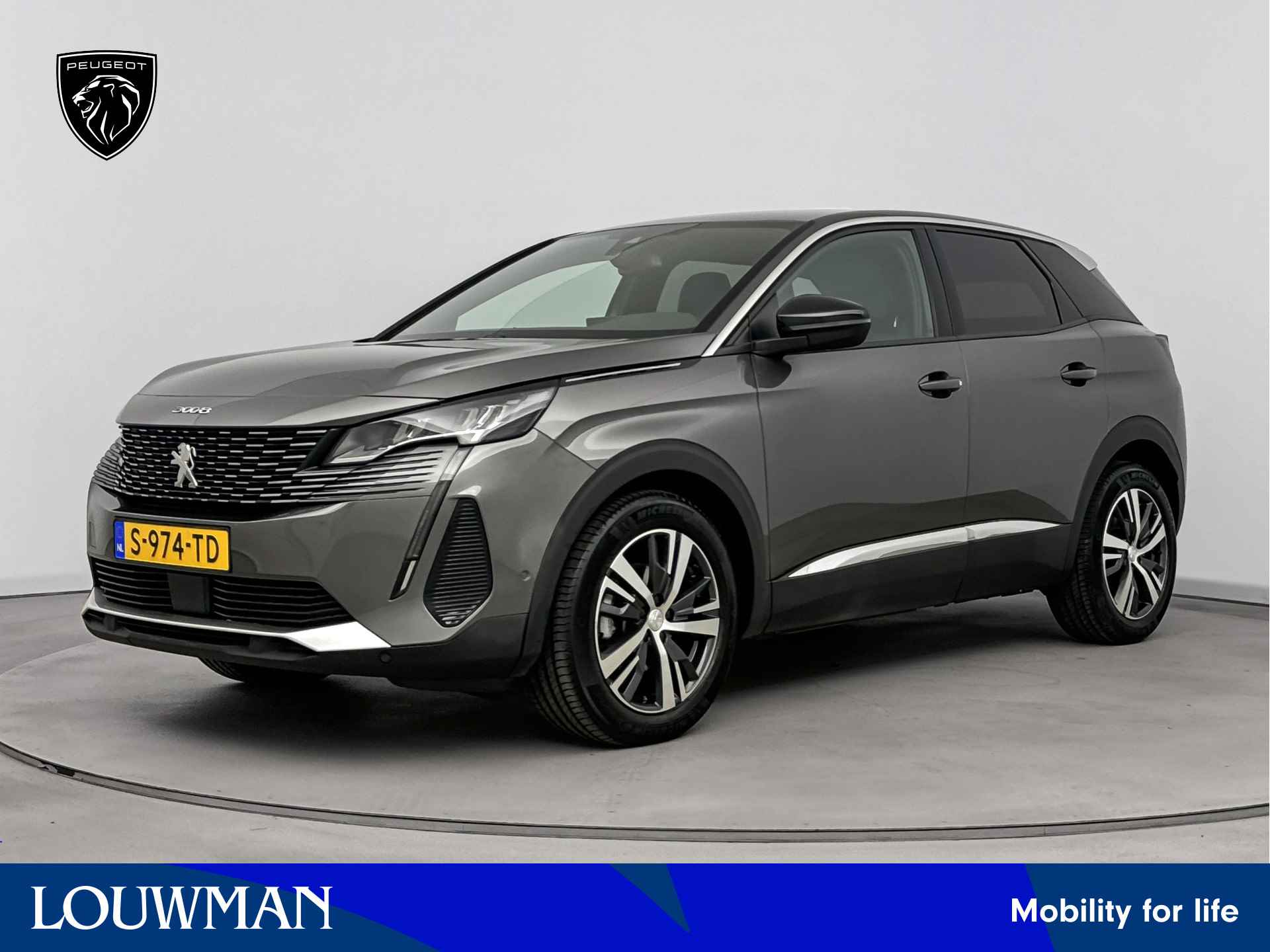 Peugeot 3008 BOVAG 40-Puntencheck