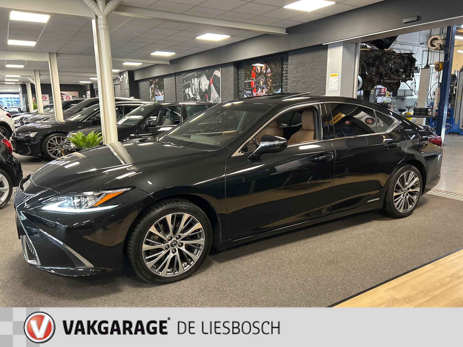 Lexus ES 300h Luxury Line/leer/navi/camera/stoel koeling verw/boeken - 6/29