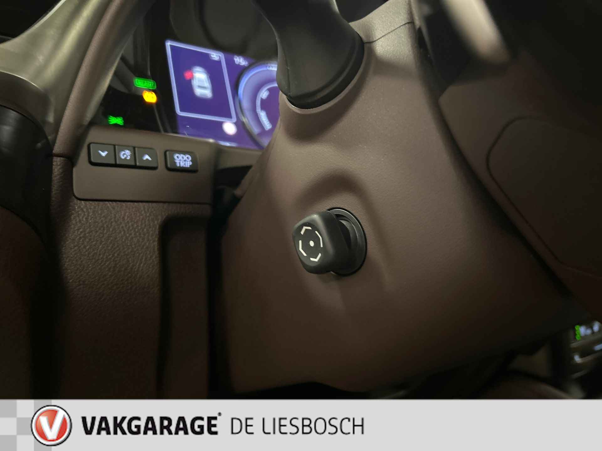 Lexus ES 300h Luxury Line/leer/navi/camera/stoel koeling verw/boeken - 22/29