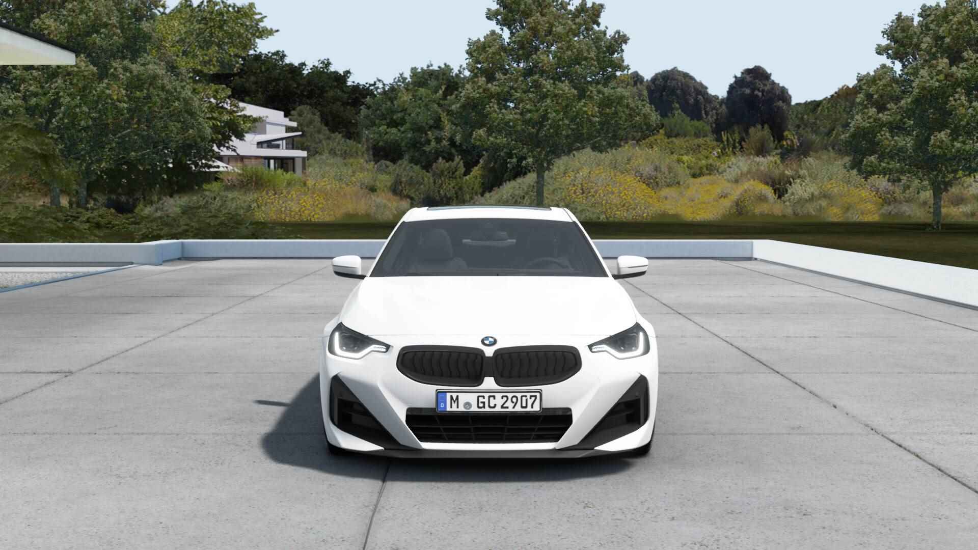 BMW 2 Serie 220i Coupé M Sportpakket Pro - 9/11