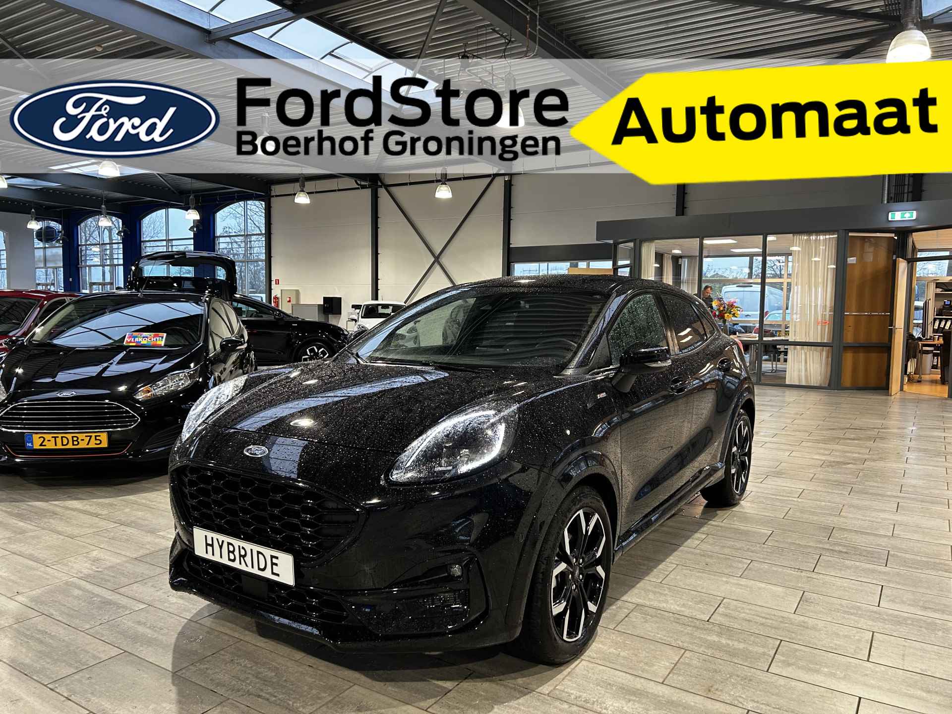 Ford Puma BOVAG 40-Puntencheck