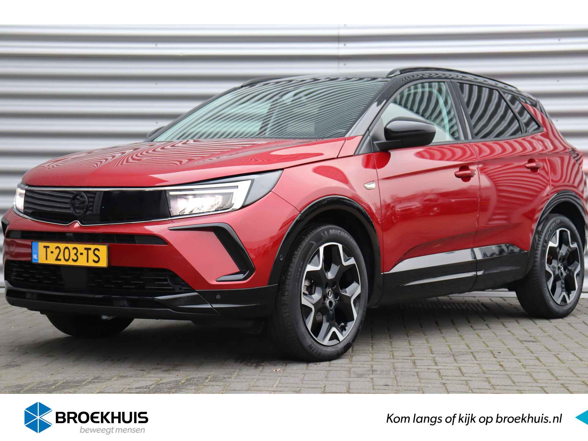 Opel Grandland X BOVAG 40-Puntencheck