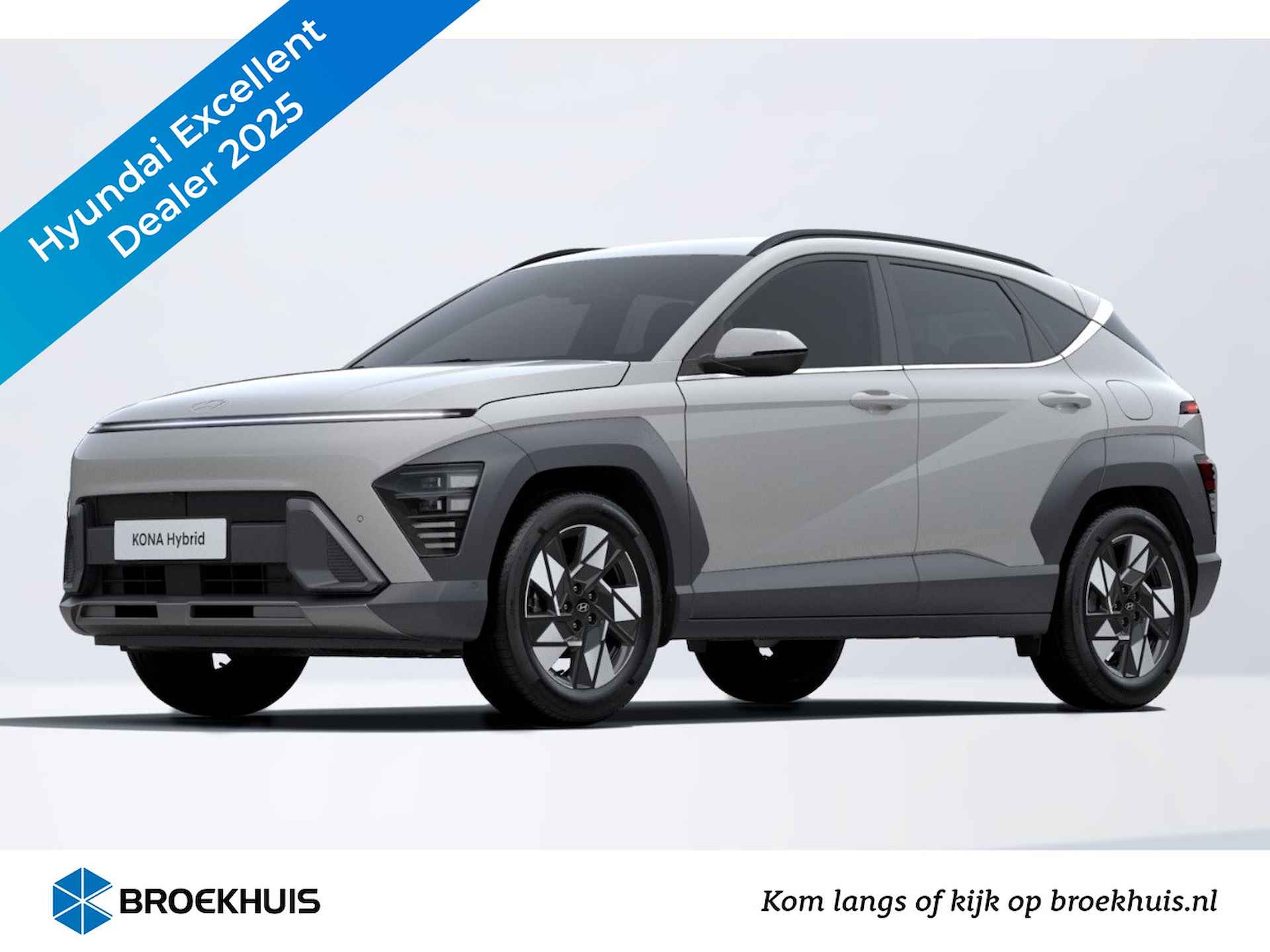 Hyundai Kona BOVAG 40-Puntencheck