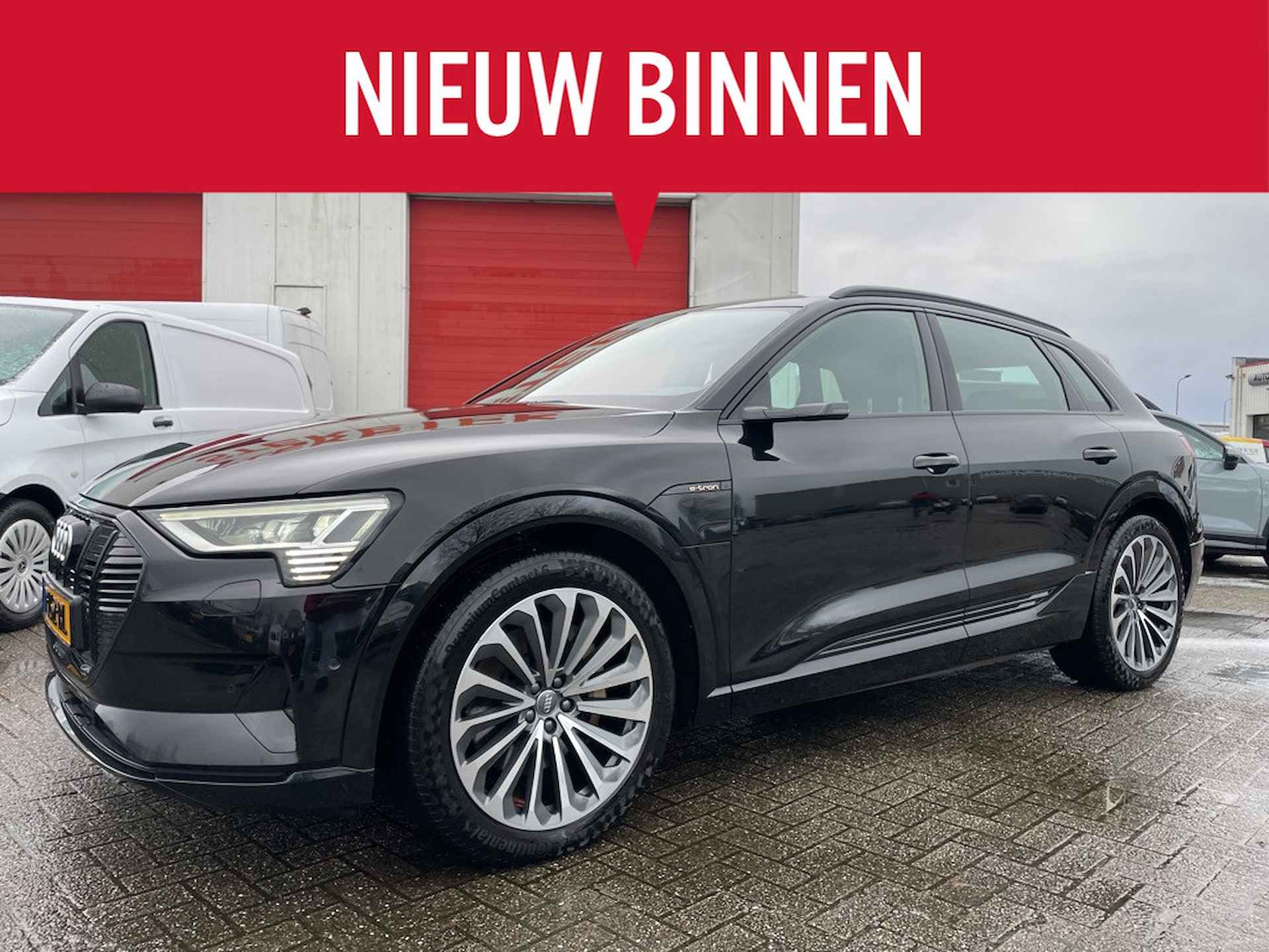 Audi e-tron BOVAG 40-Puntencheck