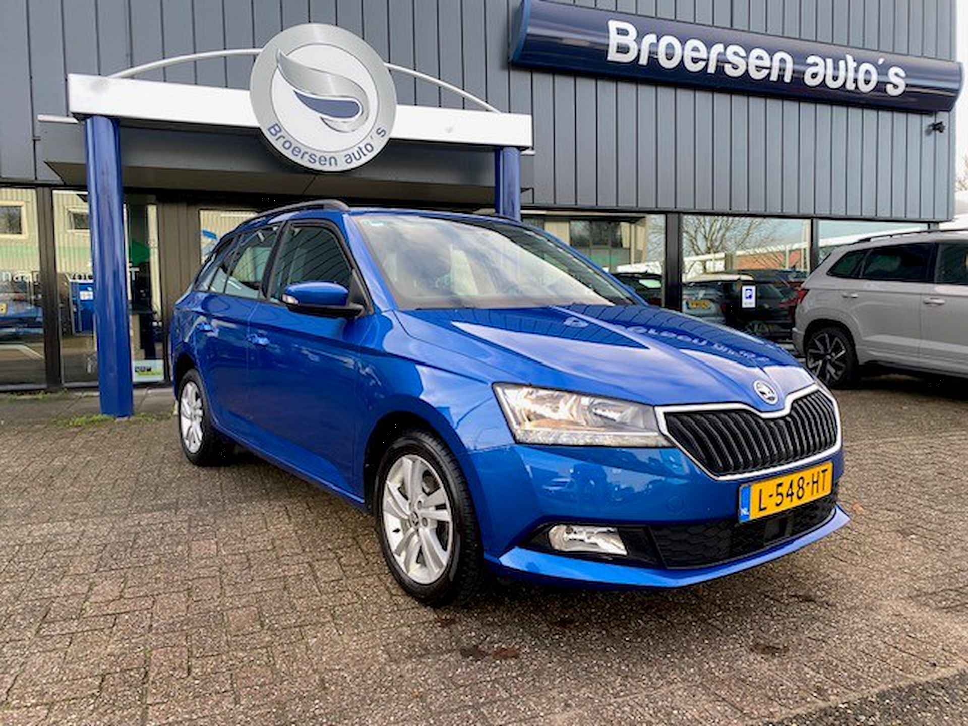 Škoda Fabia BOVAG 40-Puntencheck